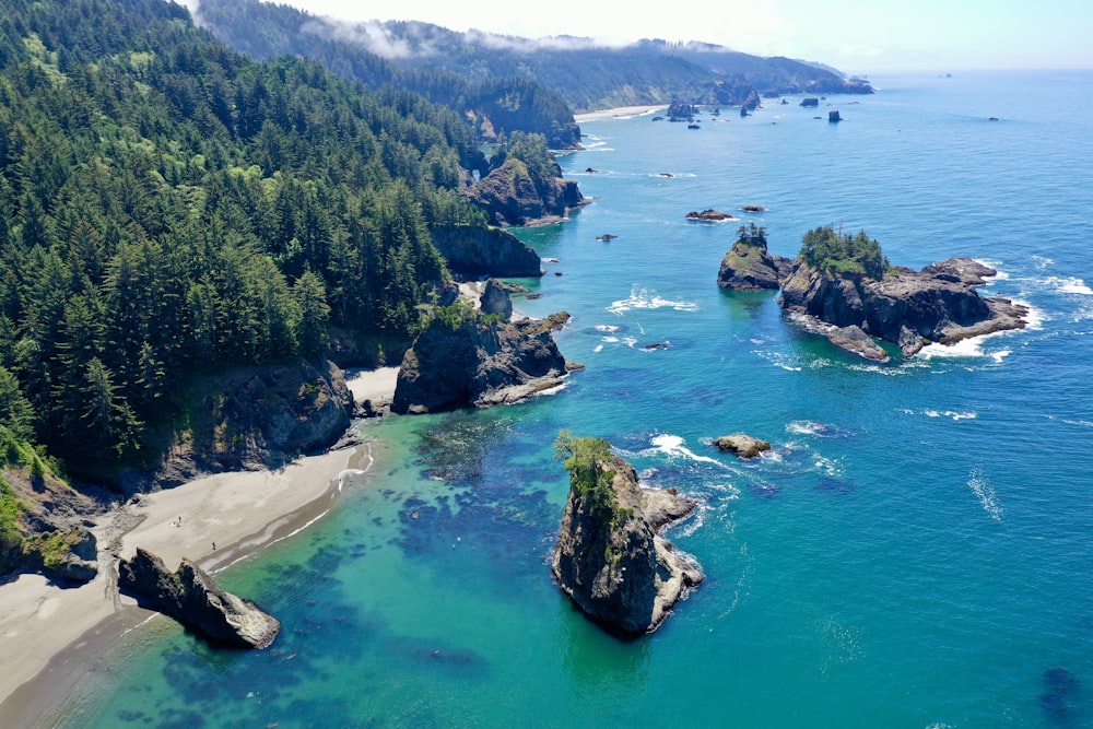 a rocky beach with trees and water