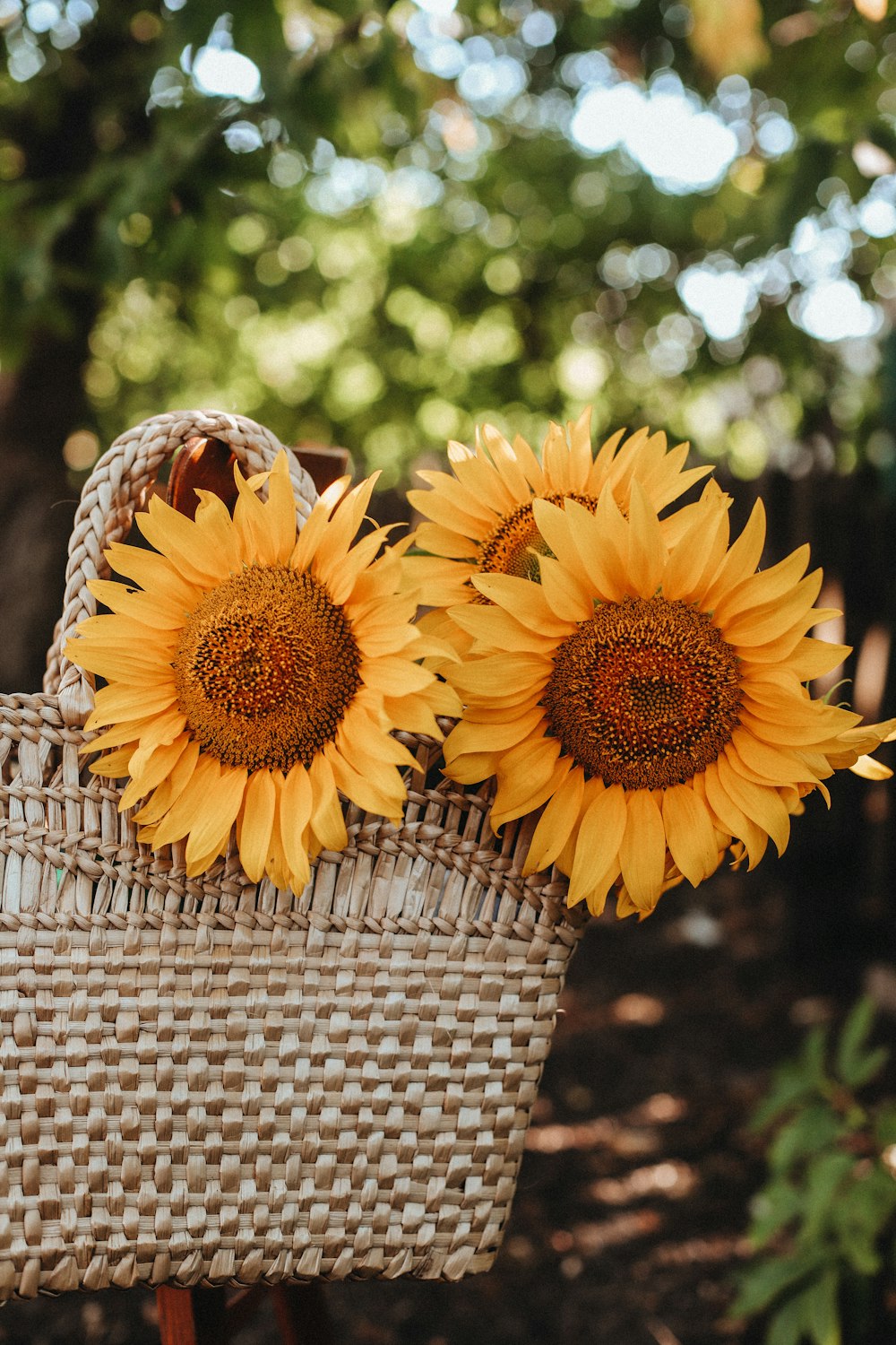 a basket of yellow flowers