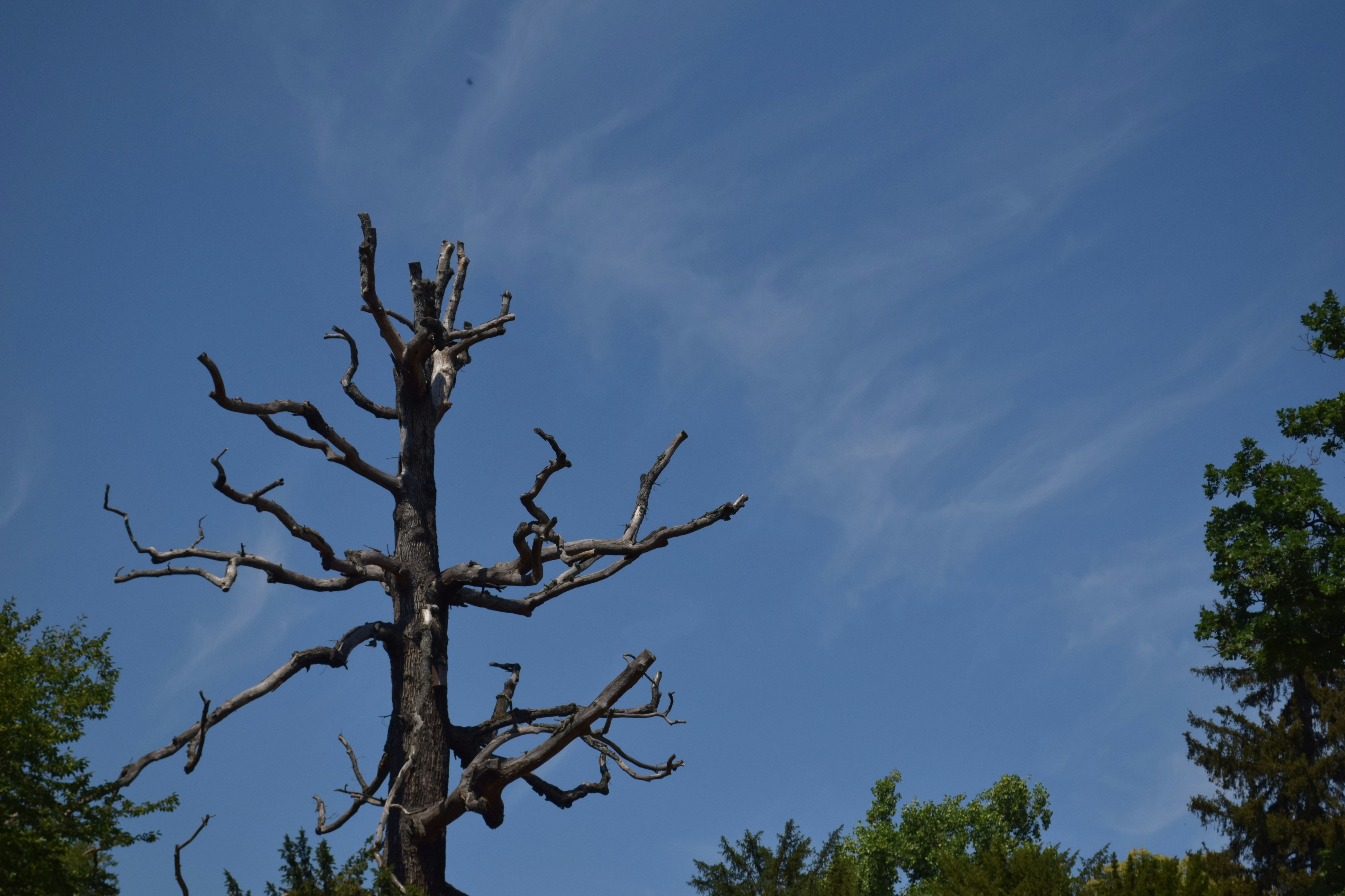 Photo by hitomibremmer