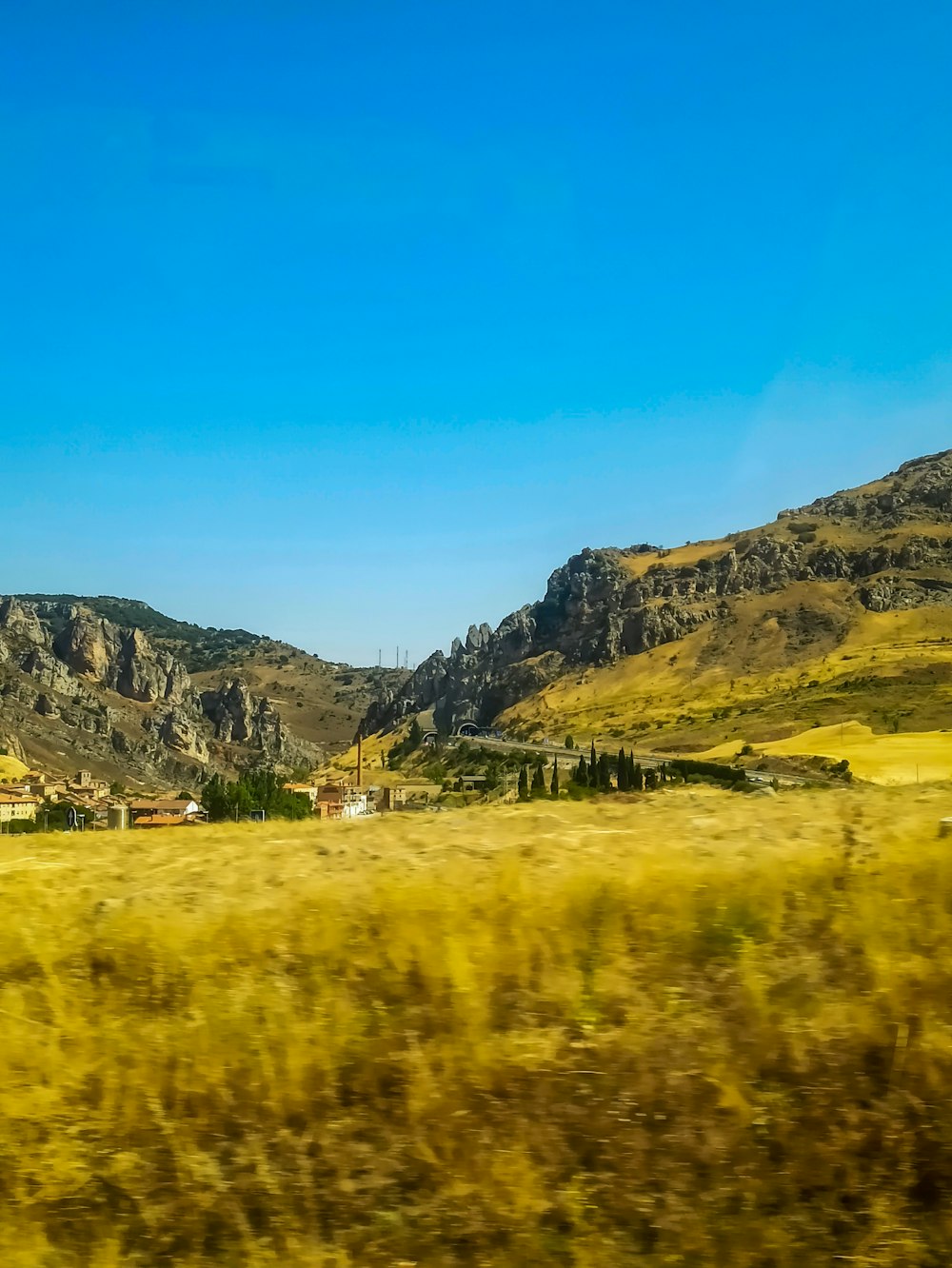 a grassy field with mountains in the background