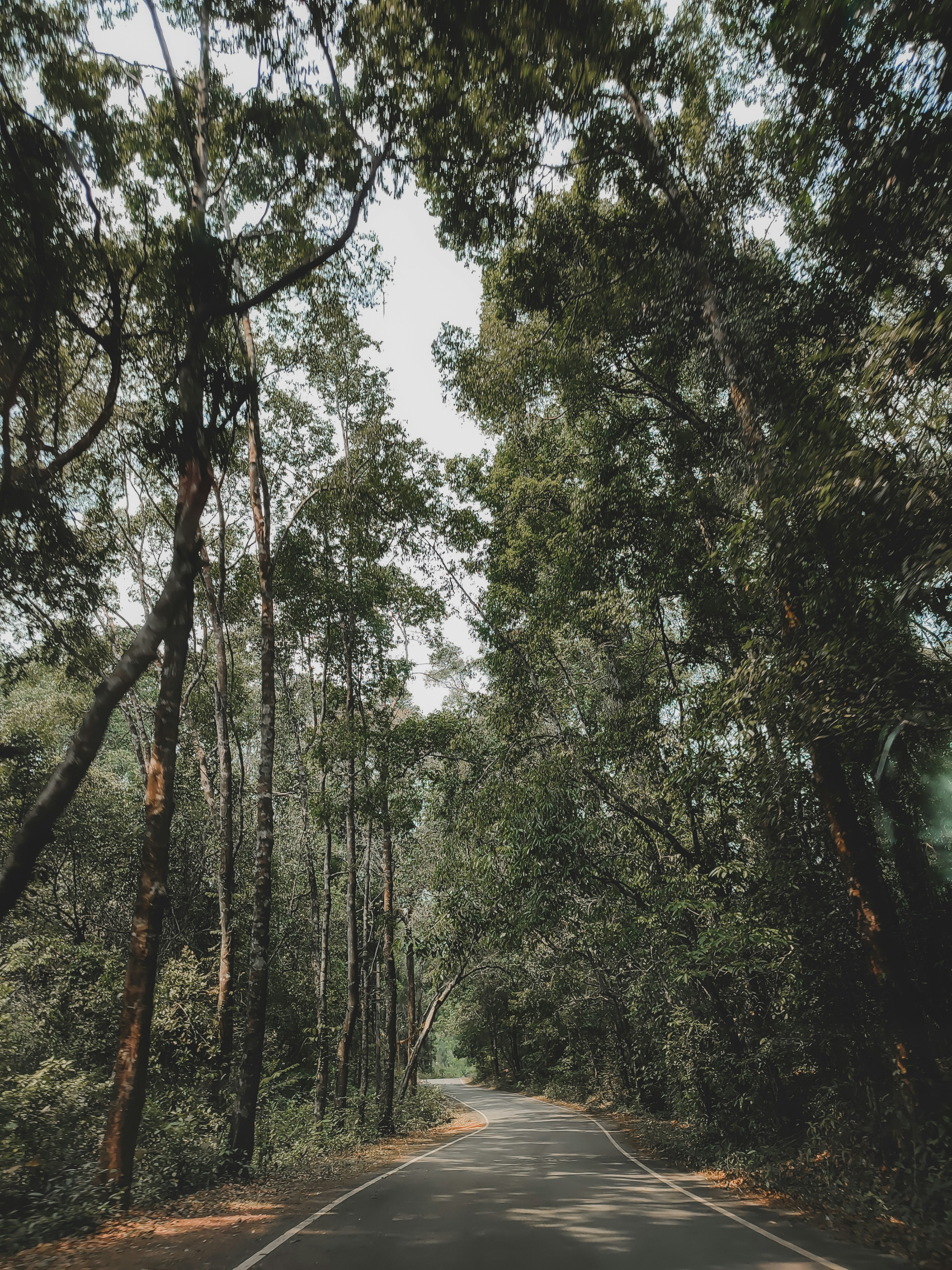 Photo by abhijnagrao