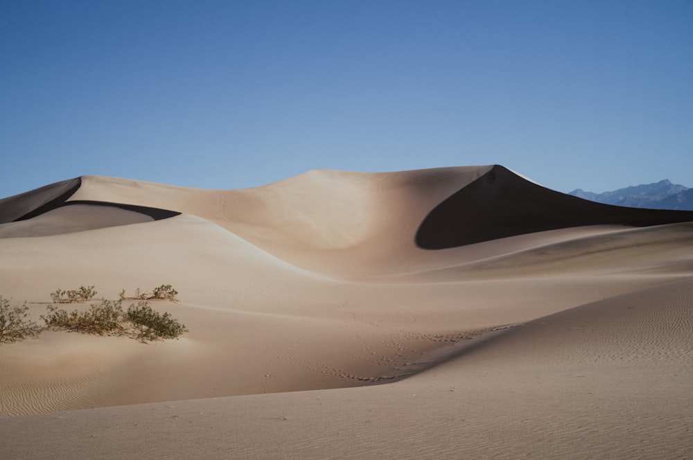 a desert landscape with sand dunes