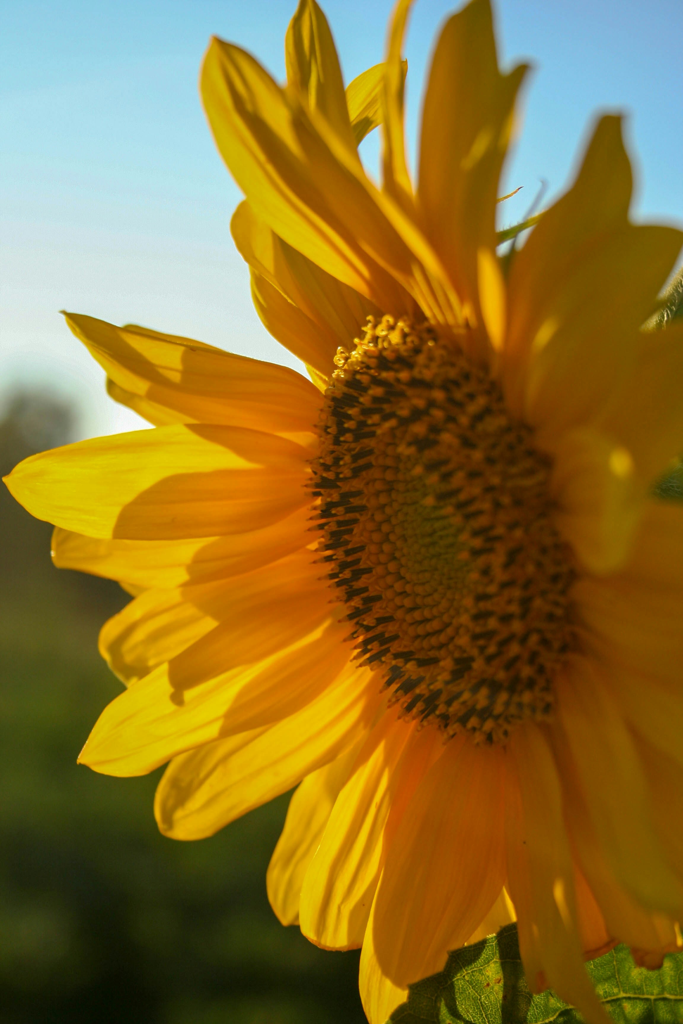 Photo by darrrrr_yaaaa