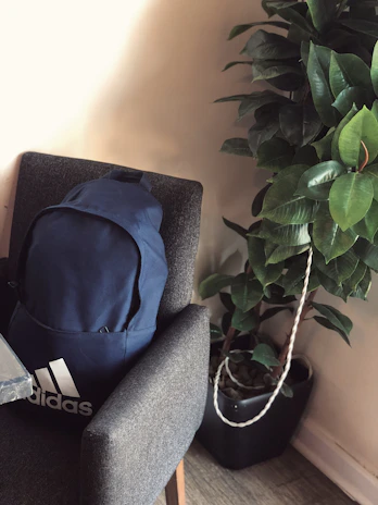 A stylish student backpack in deep blue, placed against a backdrop of university campus steps.