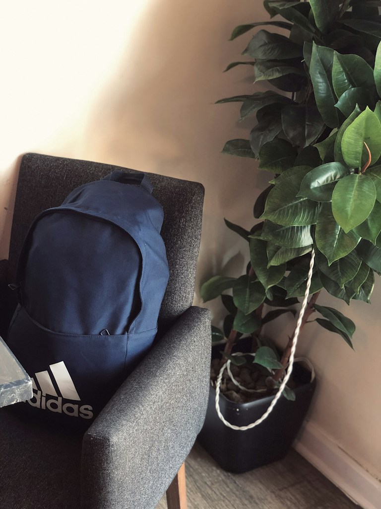 Spacious Everyday Backpack
