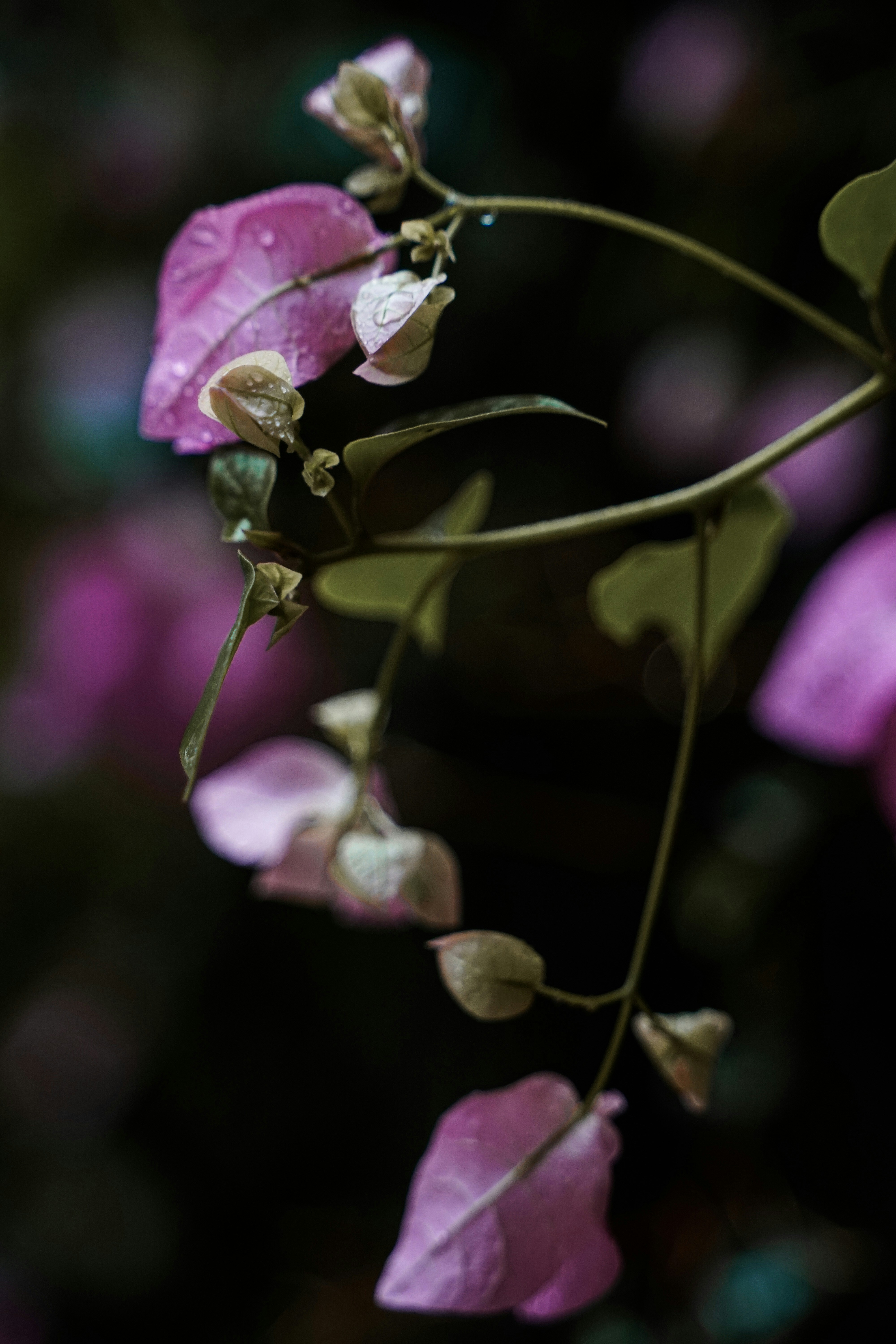 Photo by tayybahyasin