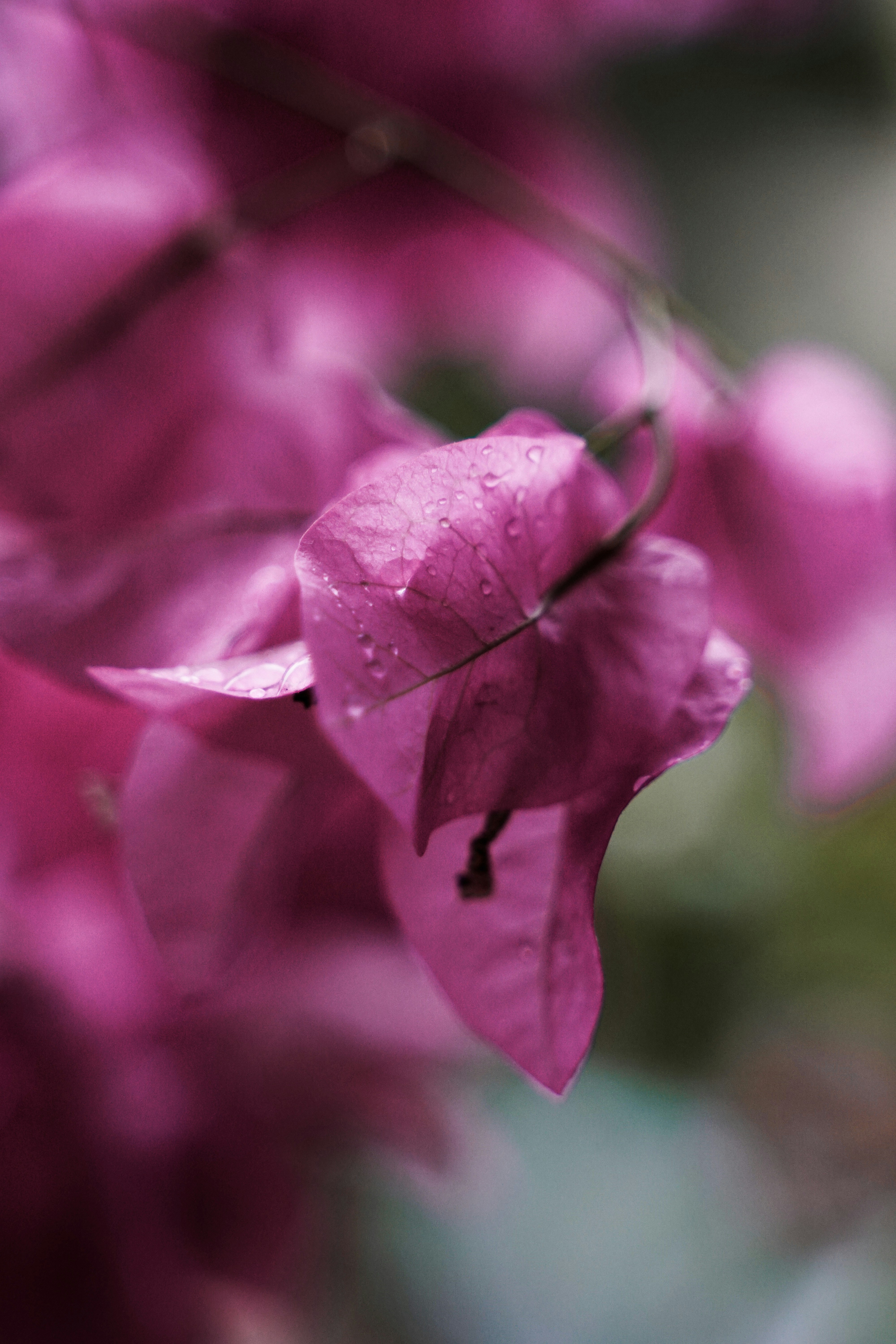 Photo by tayybahyasin