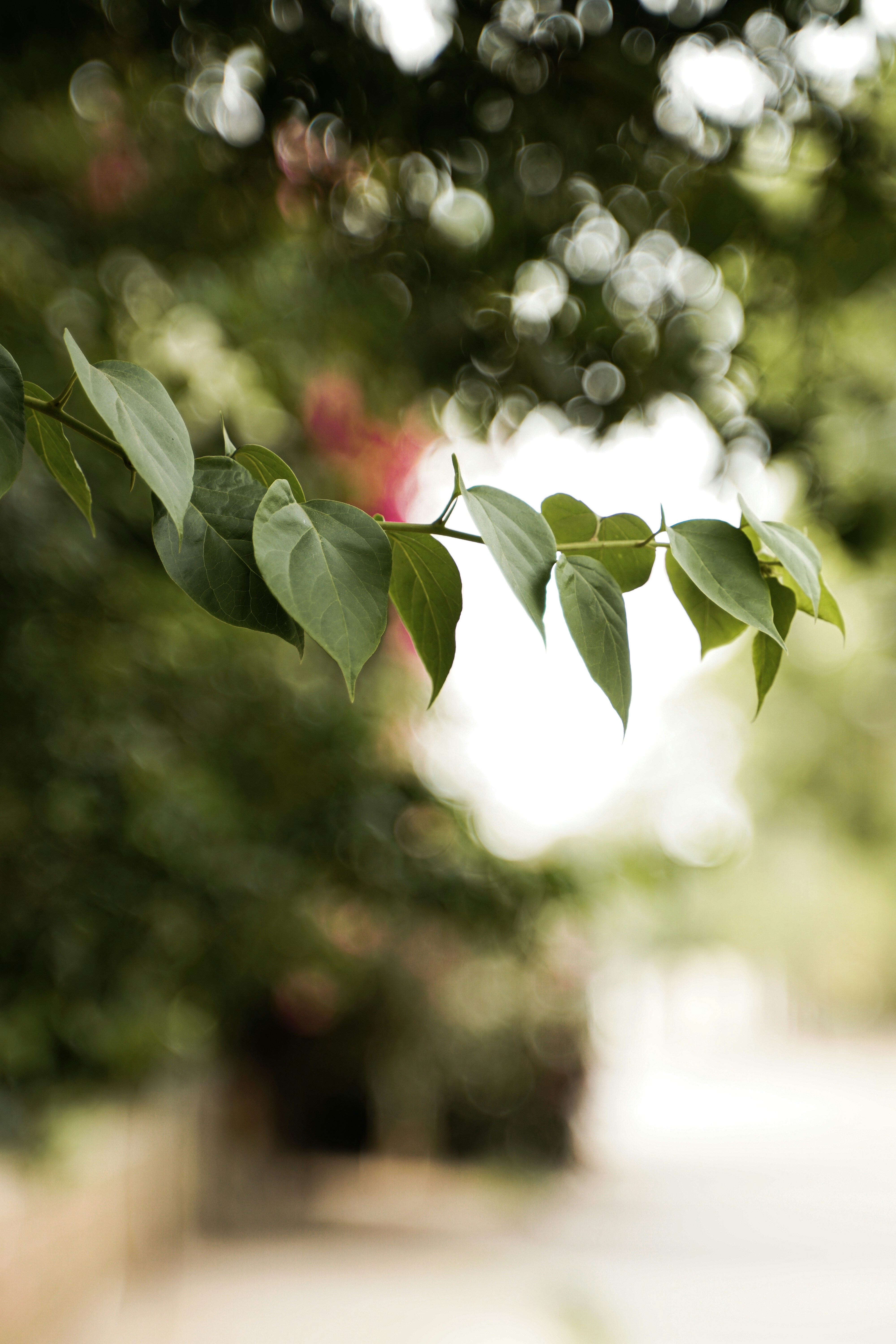 Photo by tayybahyasin