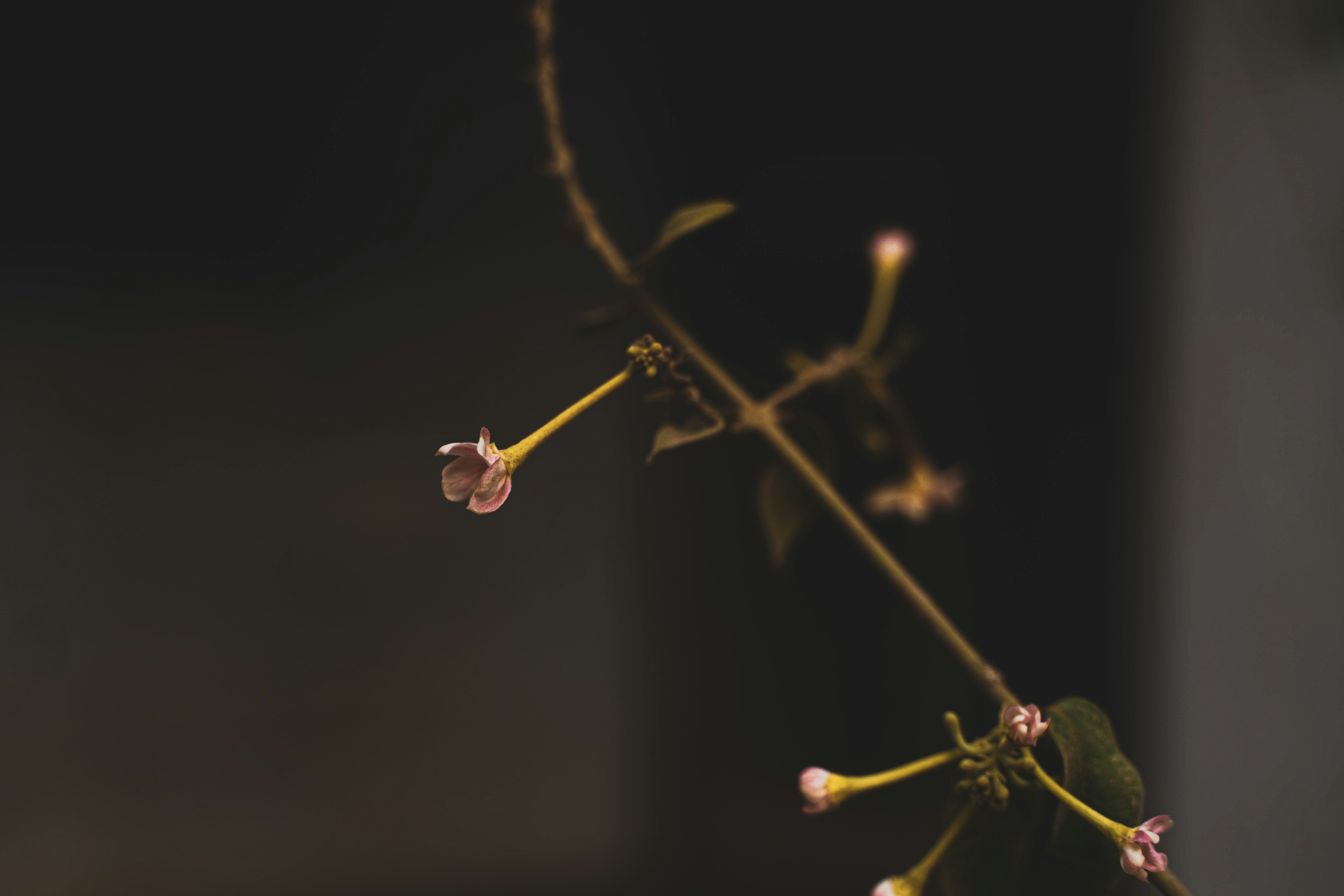 Photo by tayybahyasin