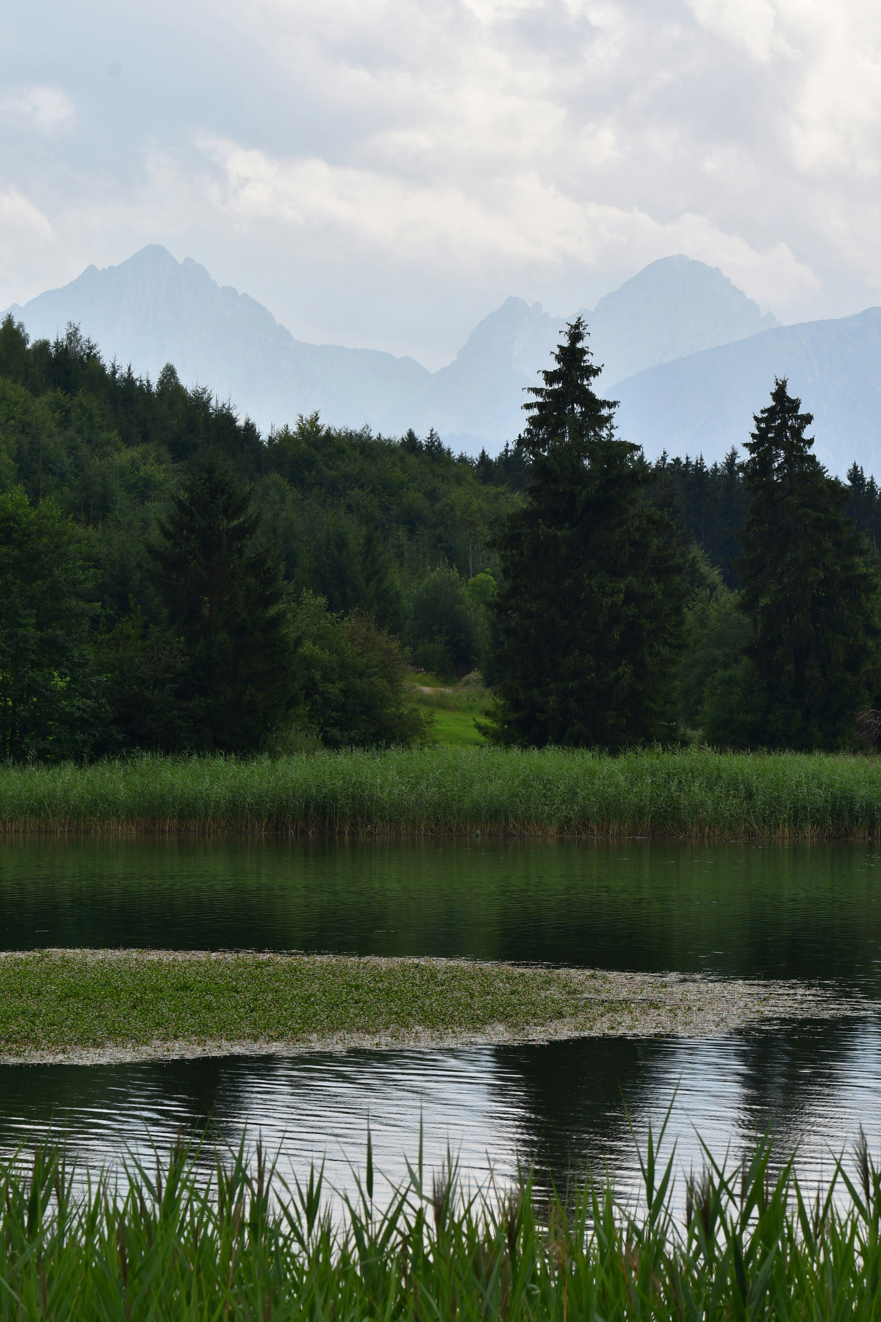 Photo by pedrino5_official