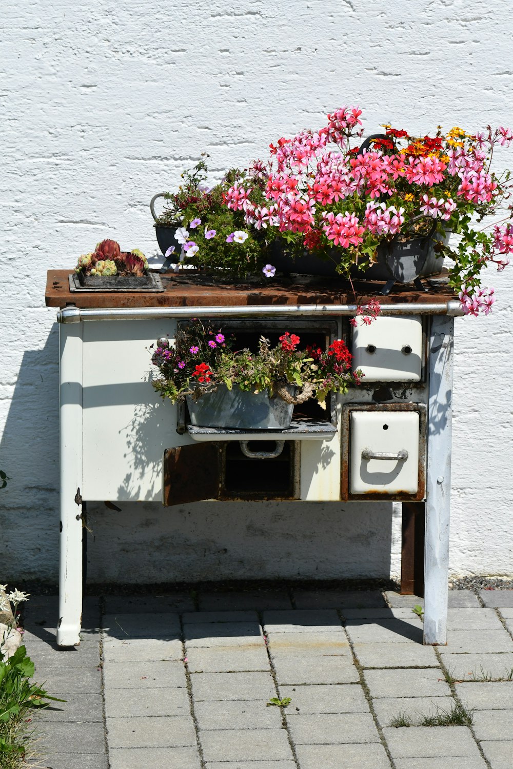 a group of flowers in pots on a wall