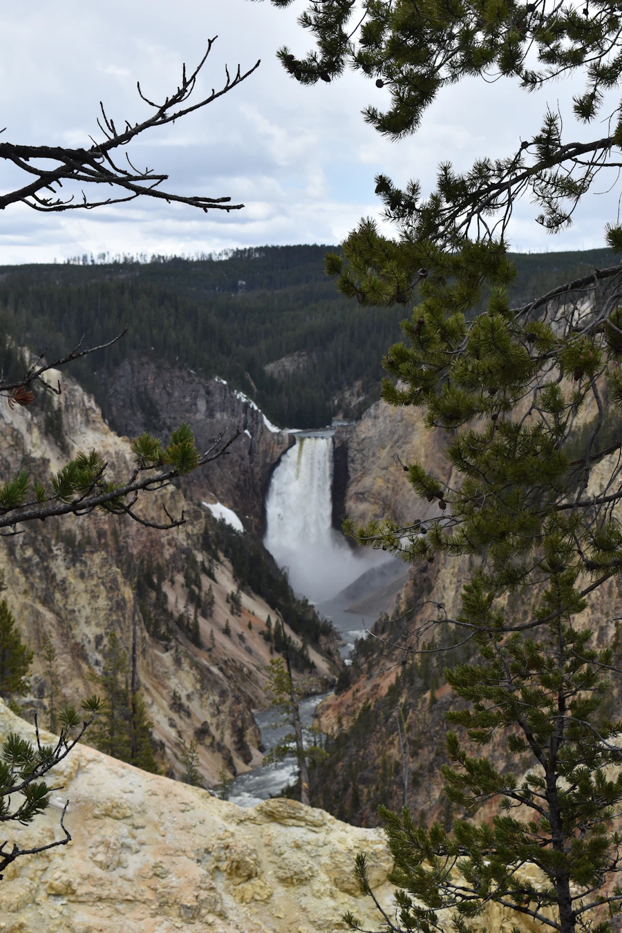 A waterfall cutting through a forested canyon