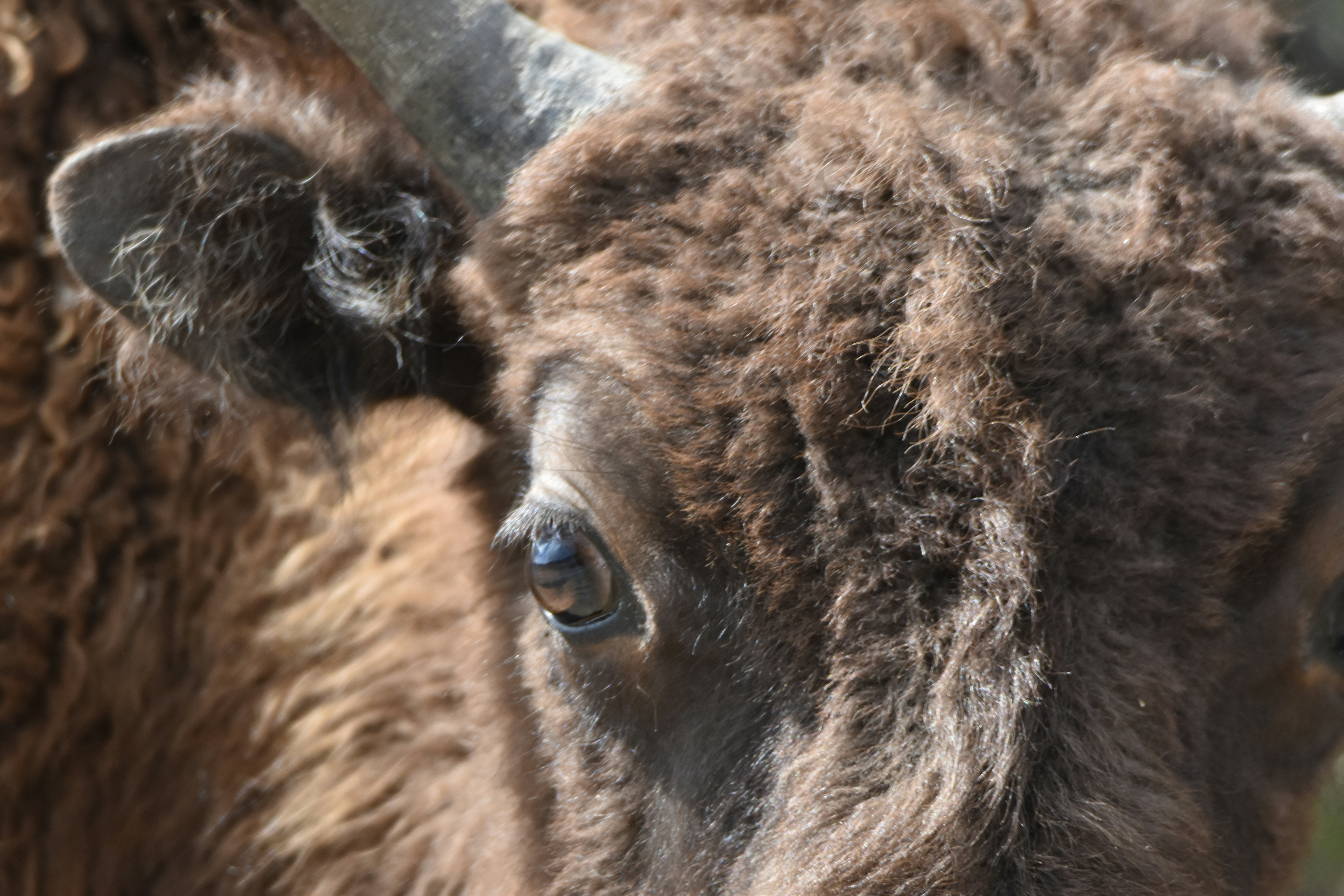 Photo by taylorwright22