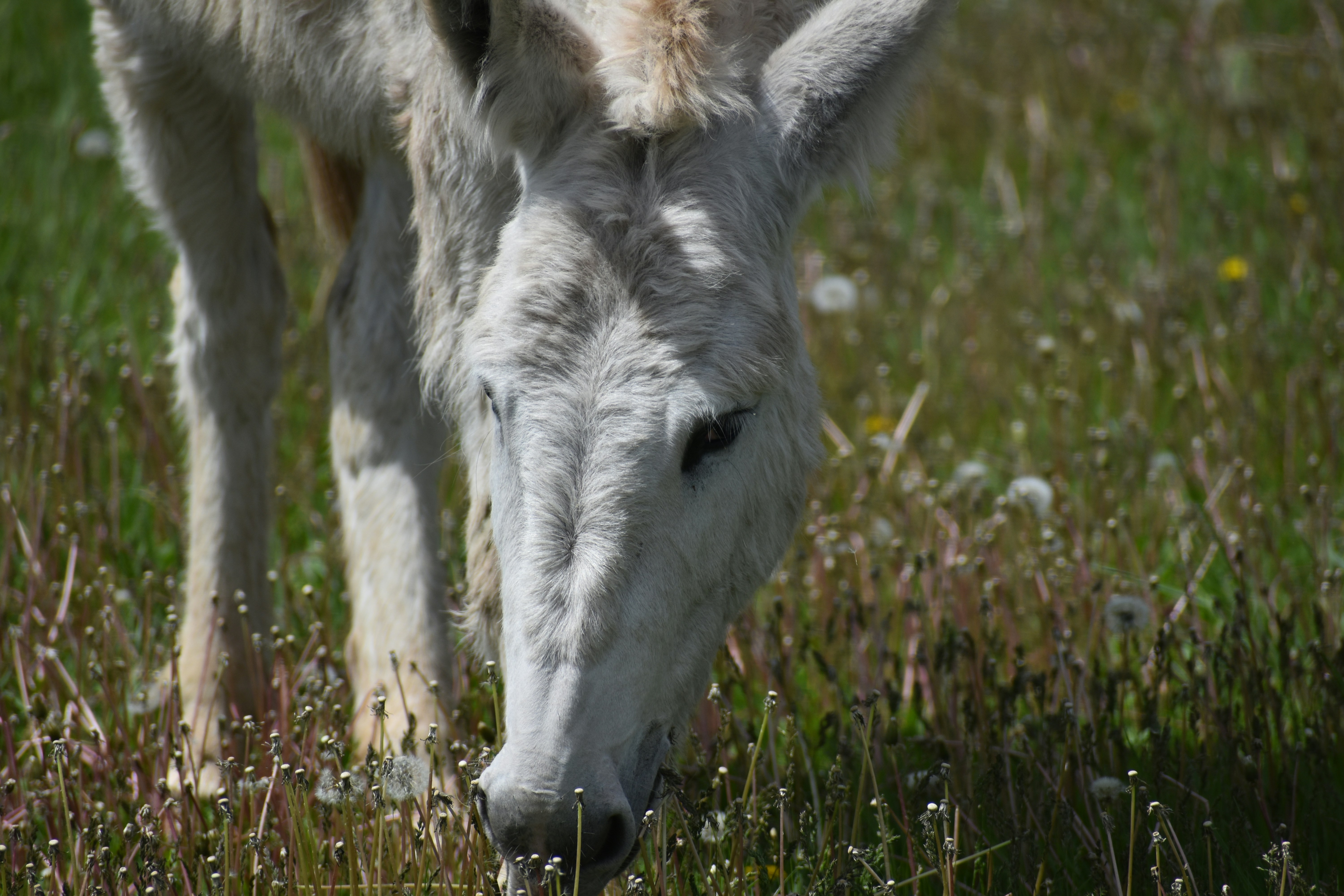 Photo by taylorwright22