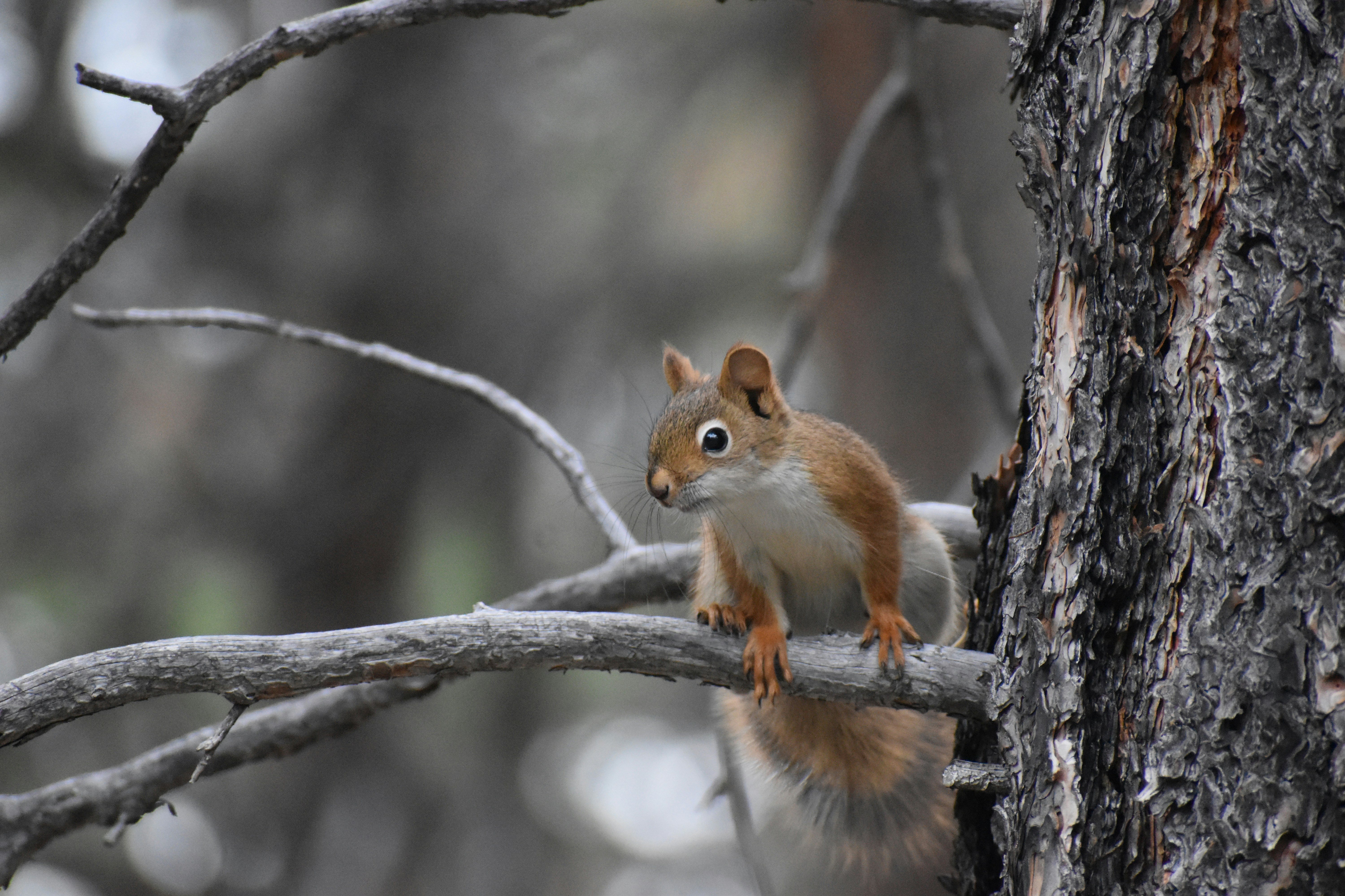 Photo by taylorwright22