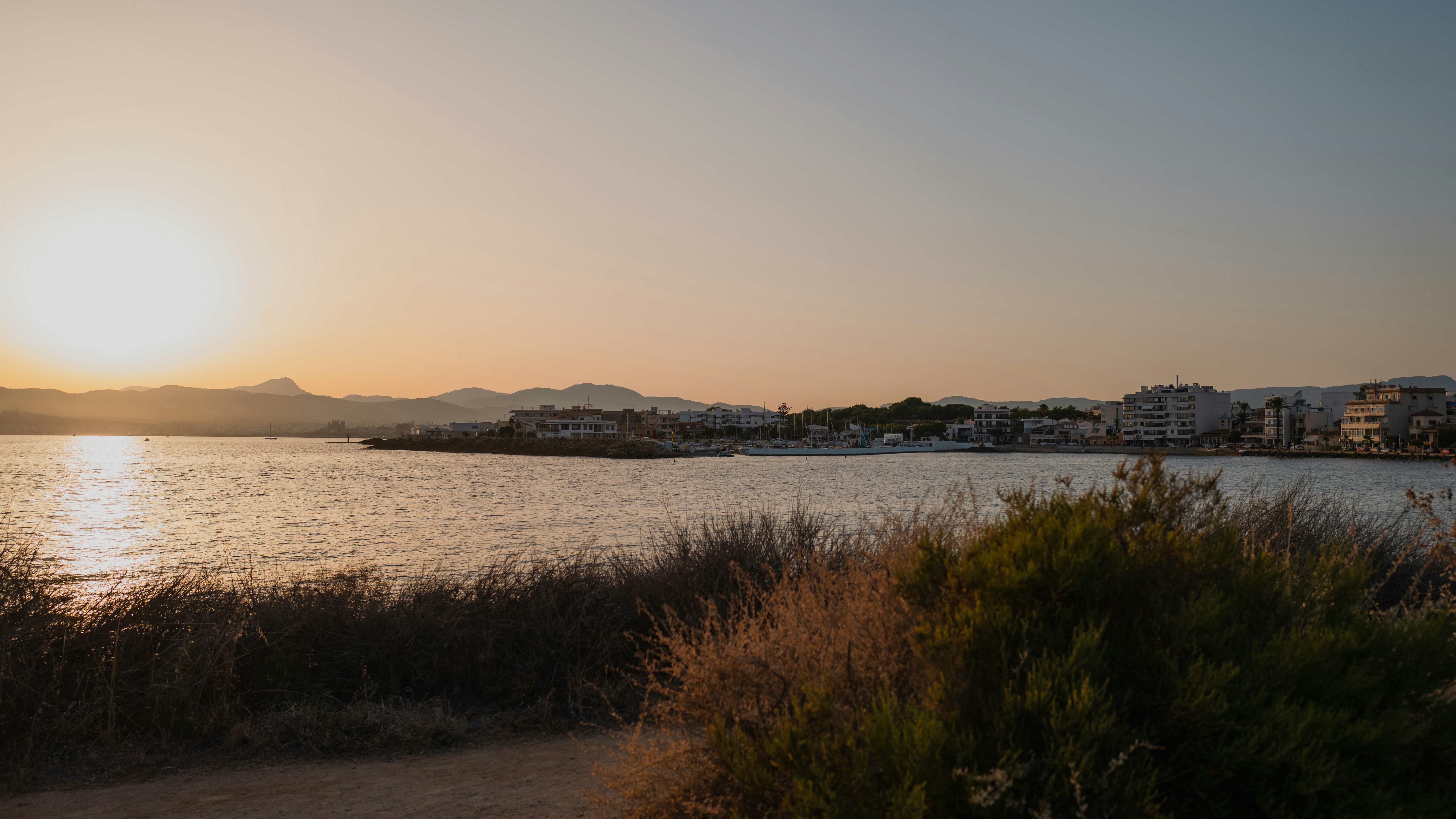 Savor Mediterranean Delights