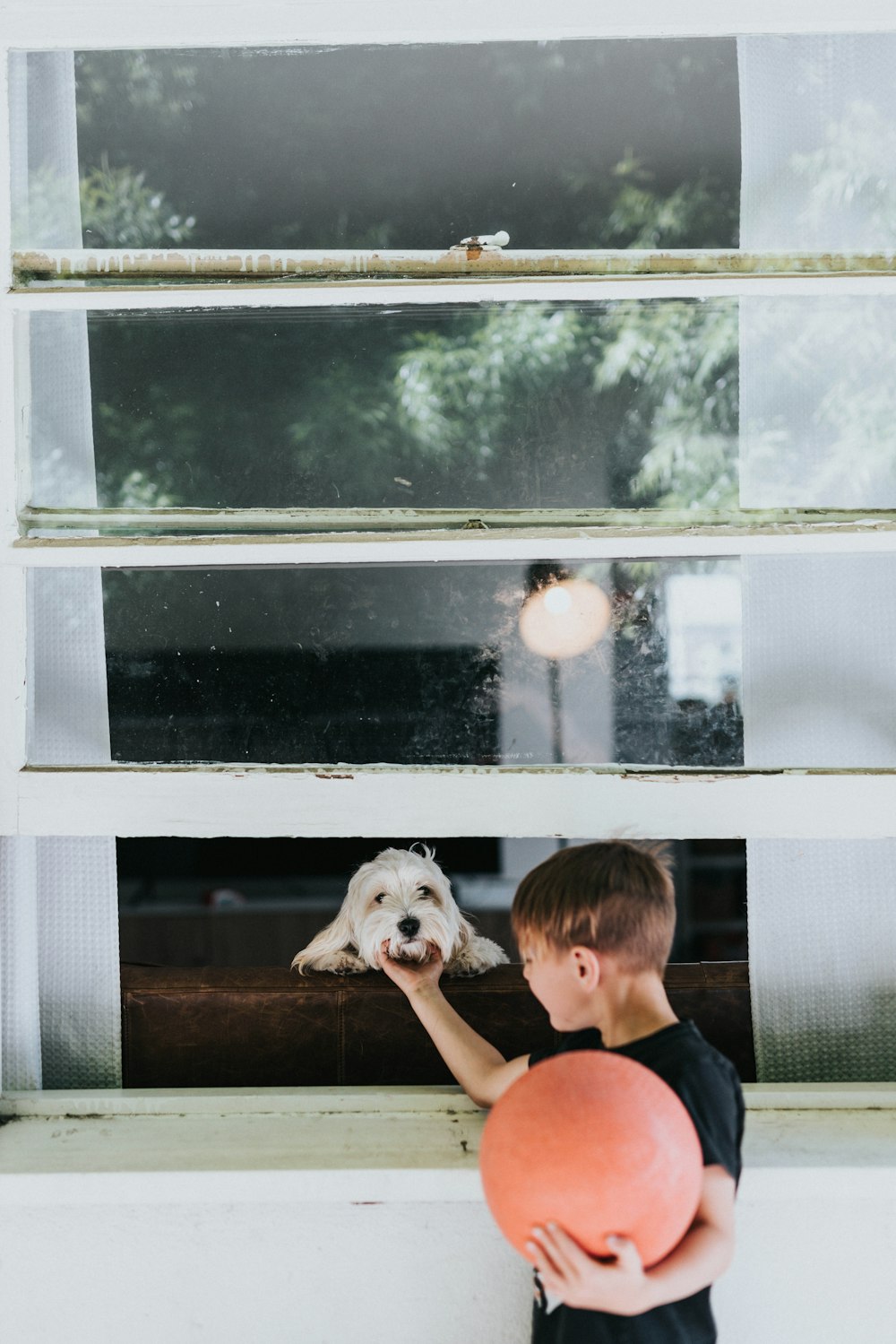 a boy and a dog looking out a window