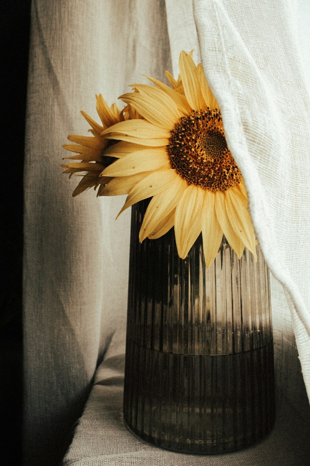 a yellow flower in a vase