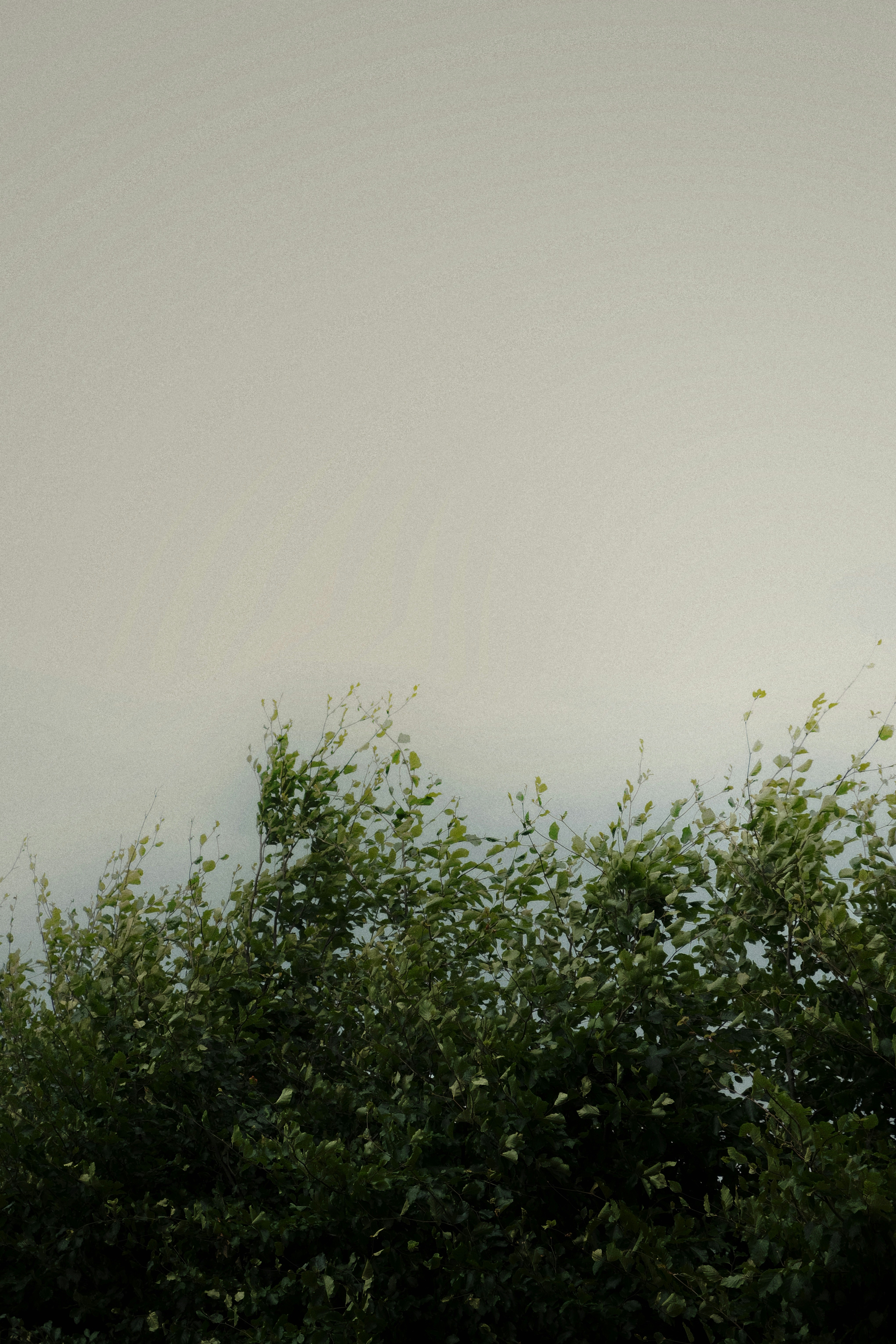 Photo by not_yet_god