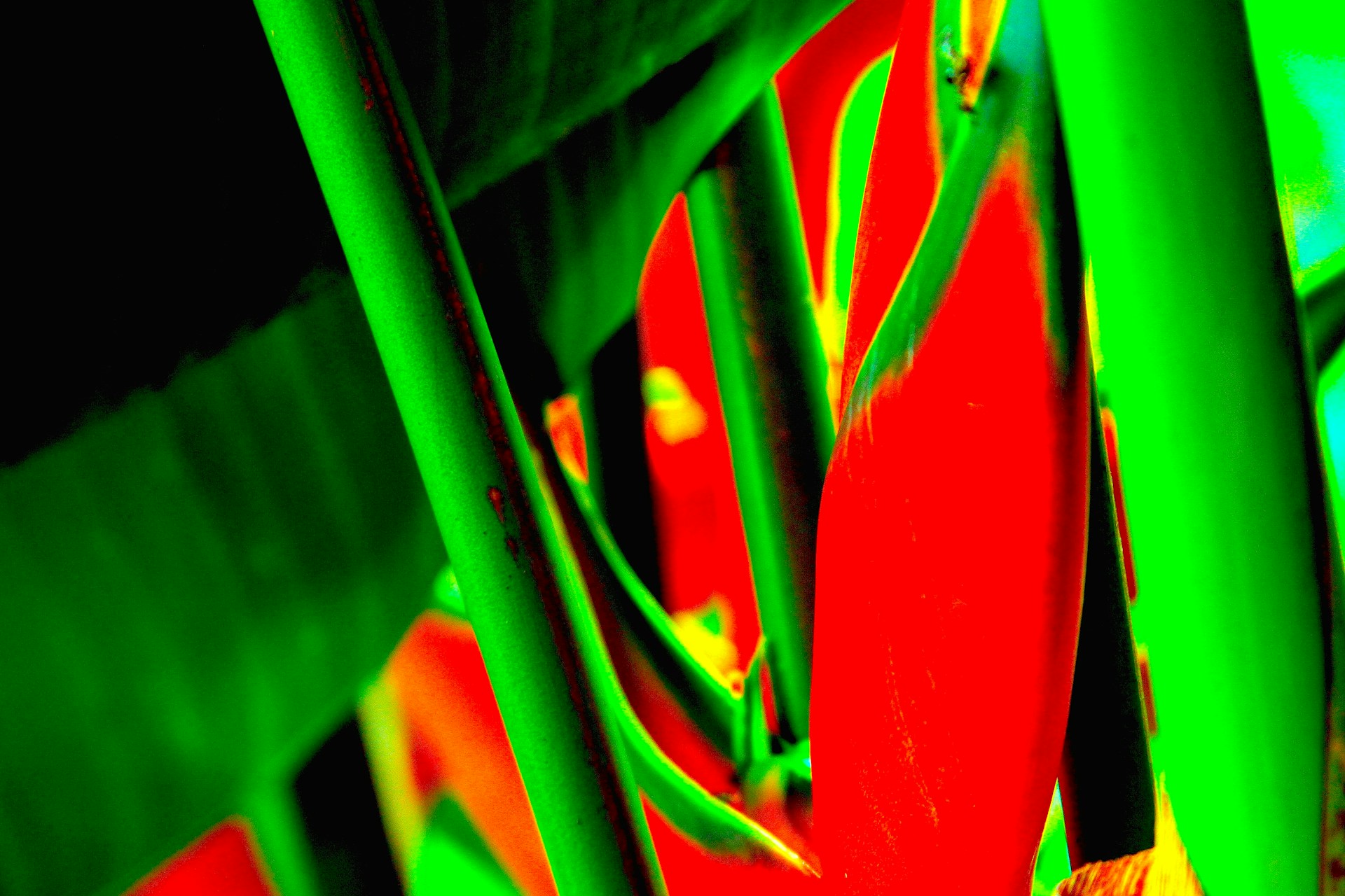 woman wearing yellow long-sleeved dress under white clouds and blue sky during daytime