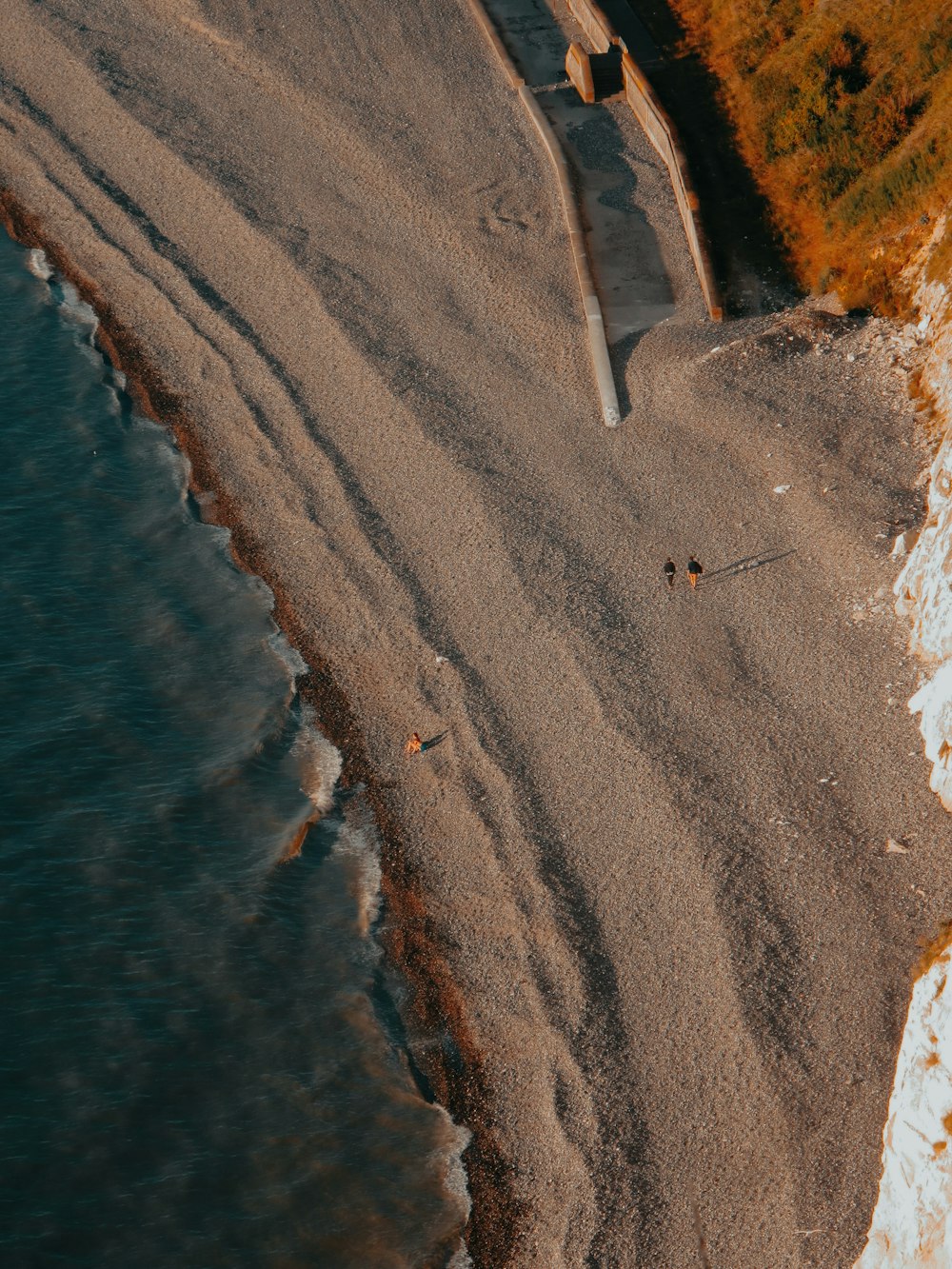 a group of people walking on a beach