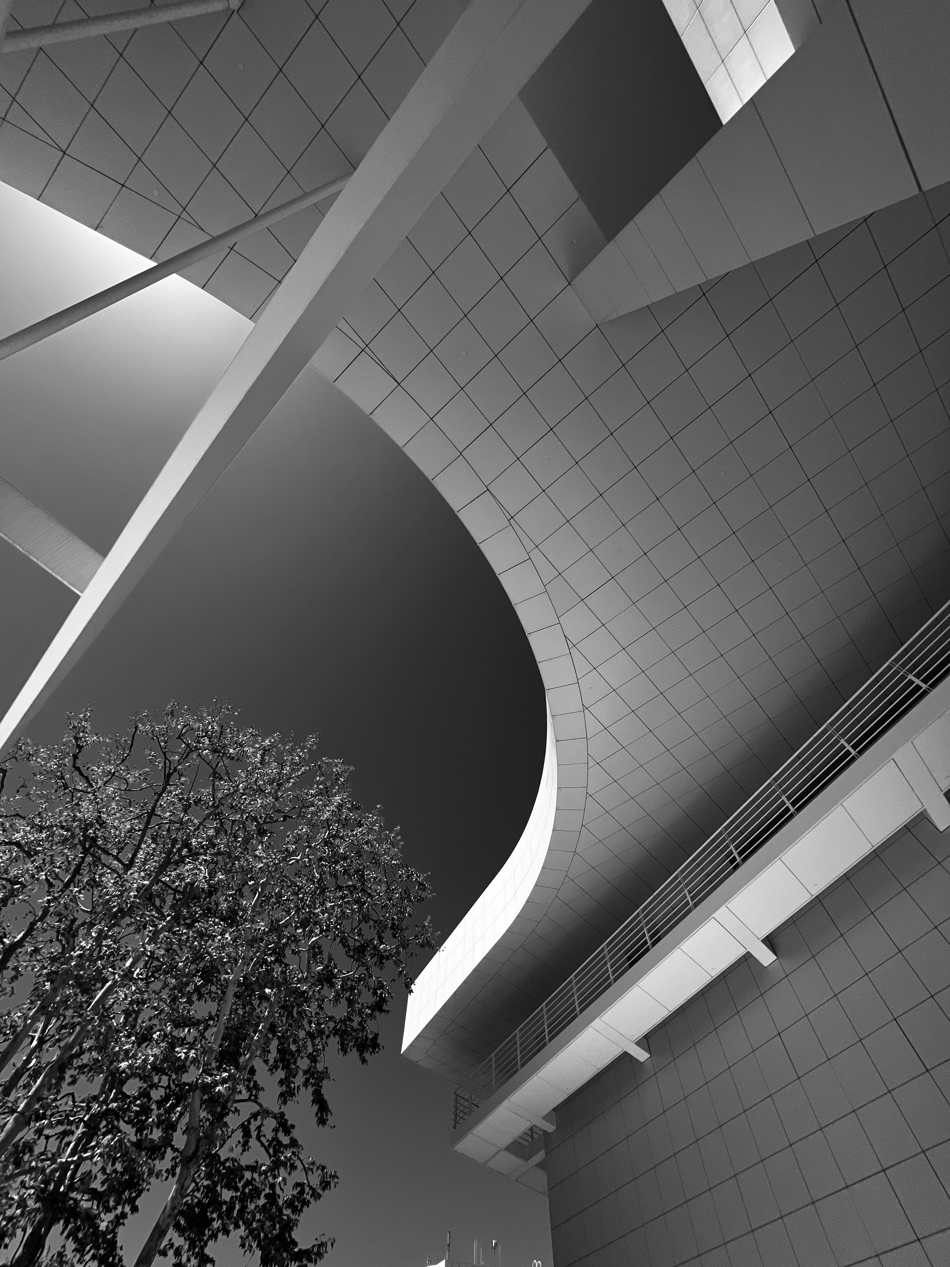 Photo by esteban__chinchilla