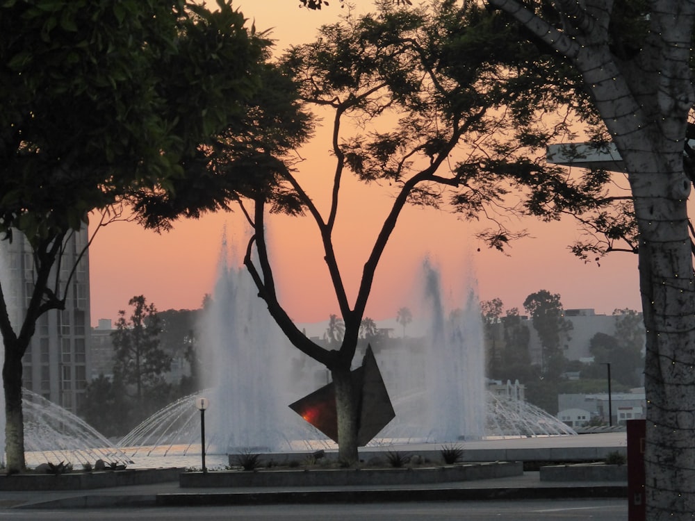 a fountain with trees around it