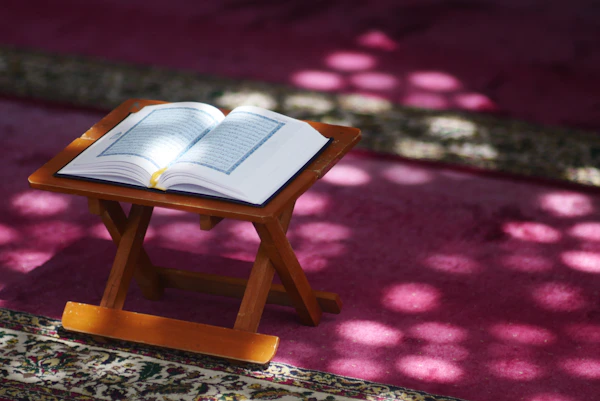 Quran reading