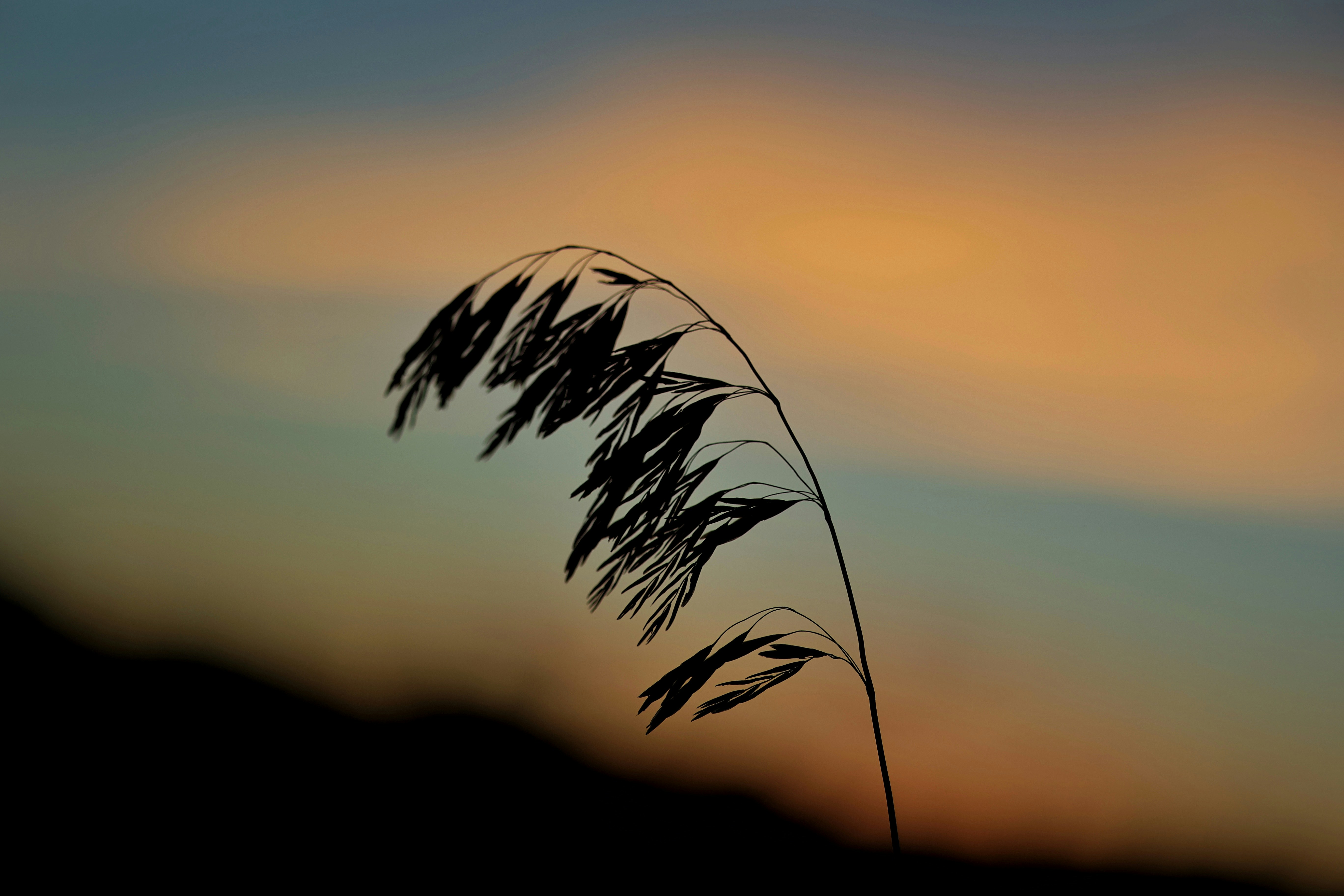 Photo by joshua_hoehne