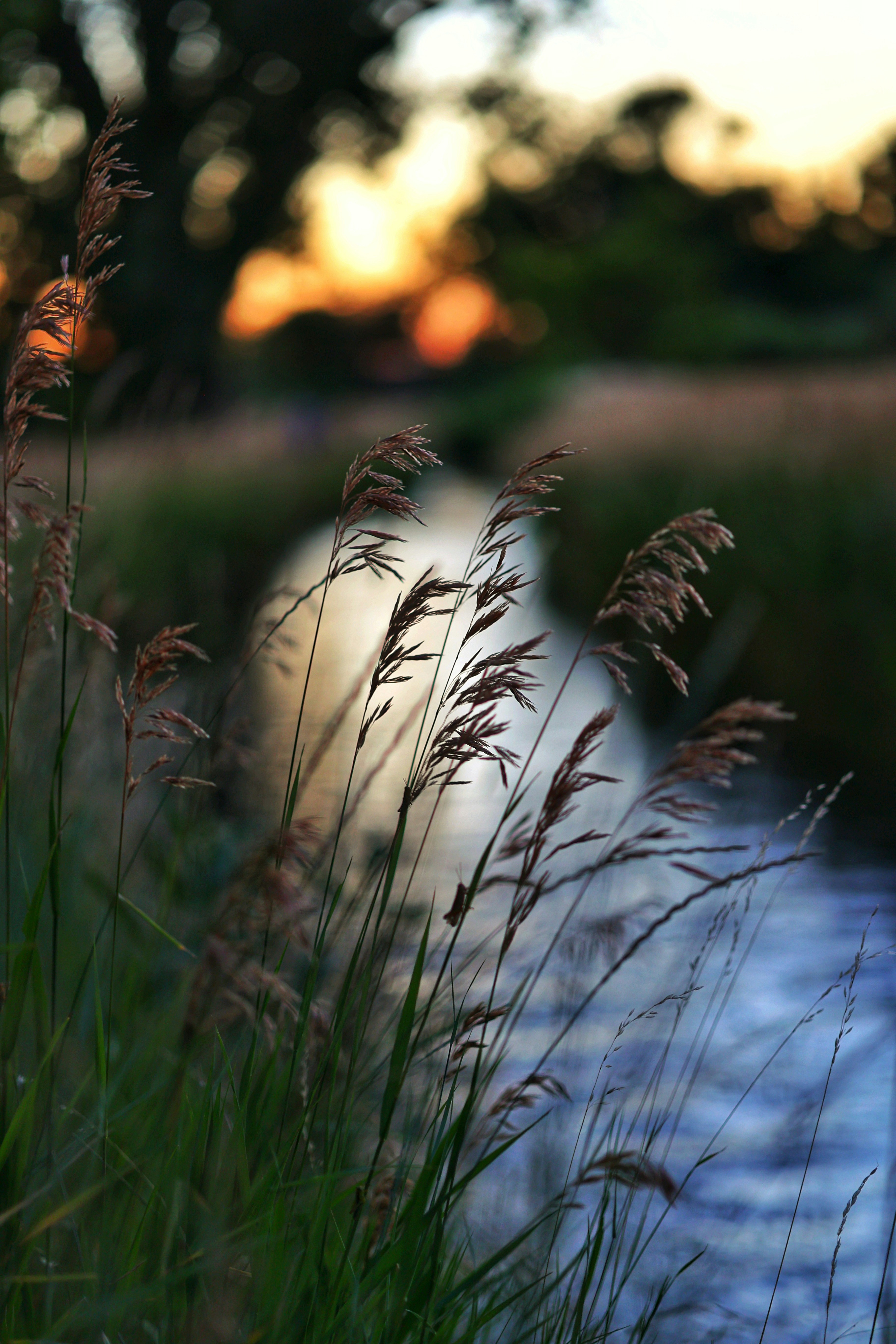 Photo by joshua_hoehne