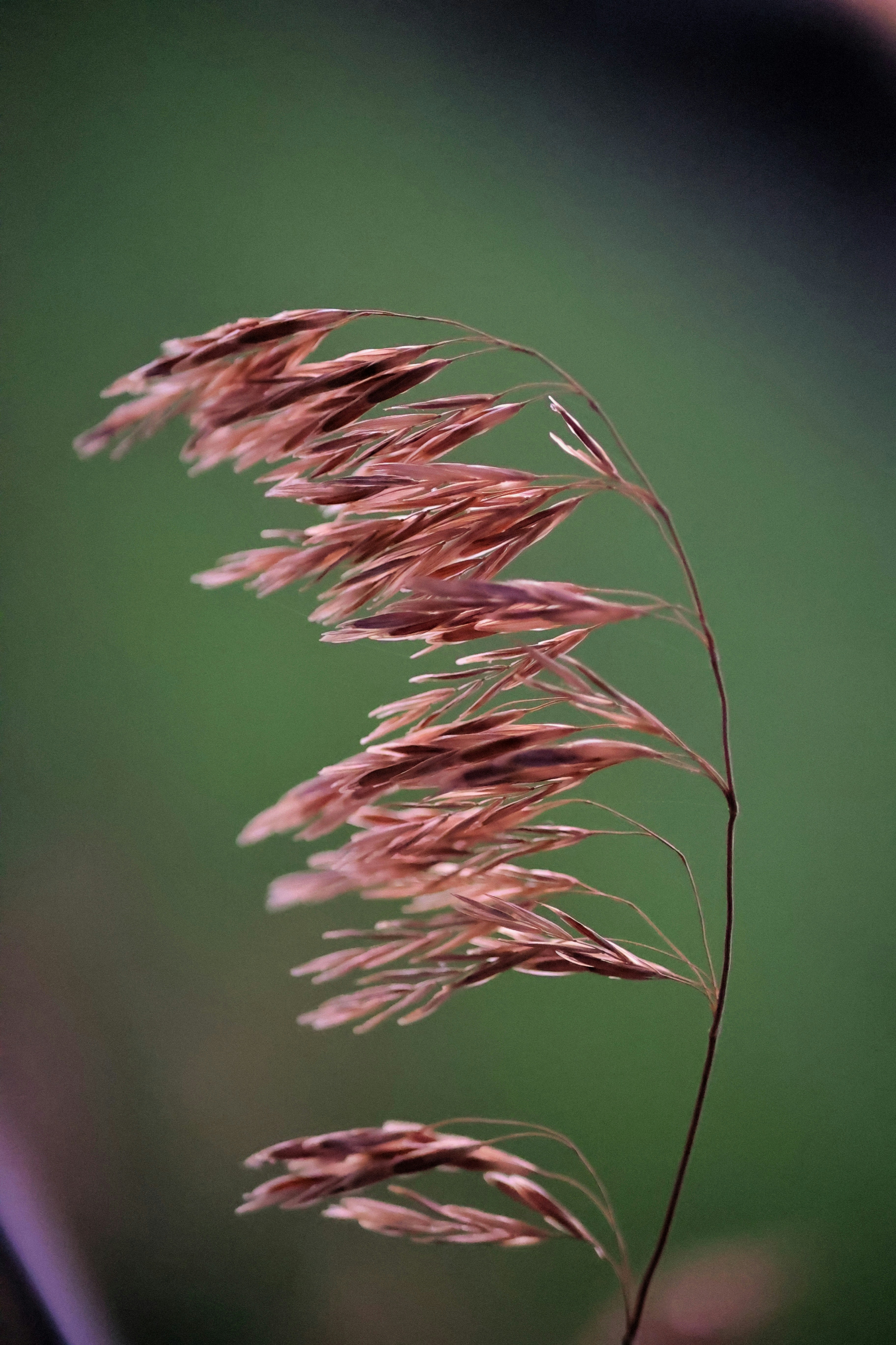 Photo by joshua_hoehne