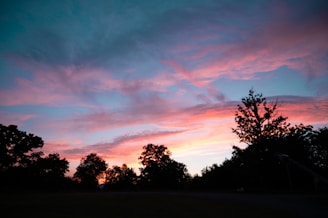 a sunset over trees