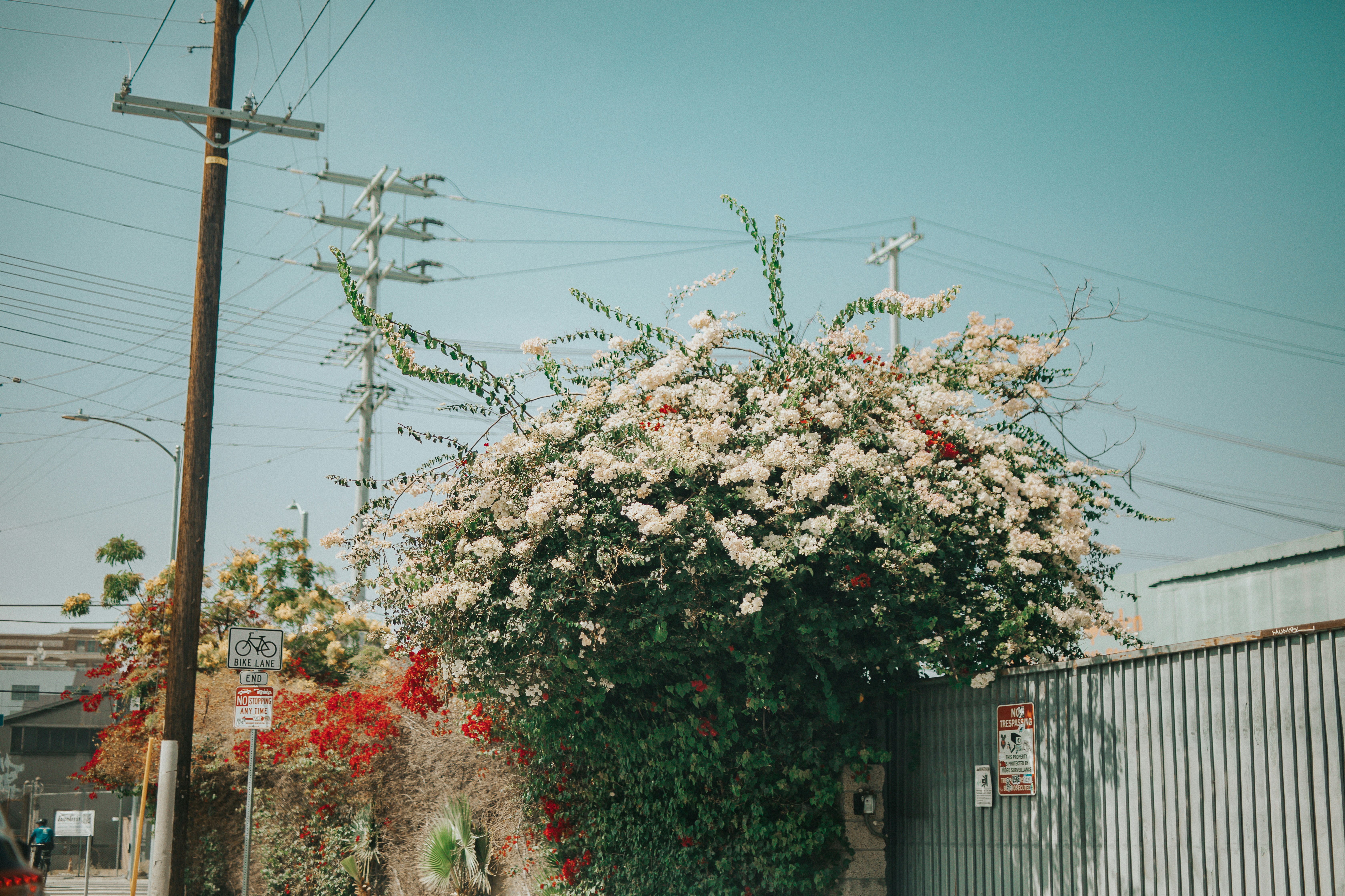 Photo by donovan_valdivia