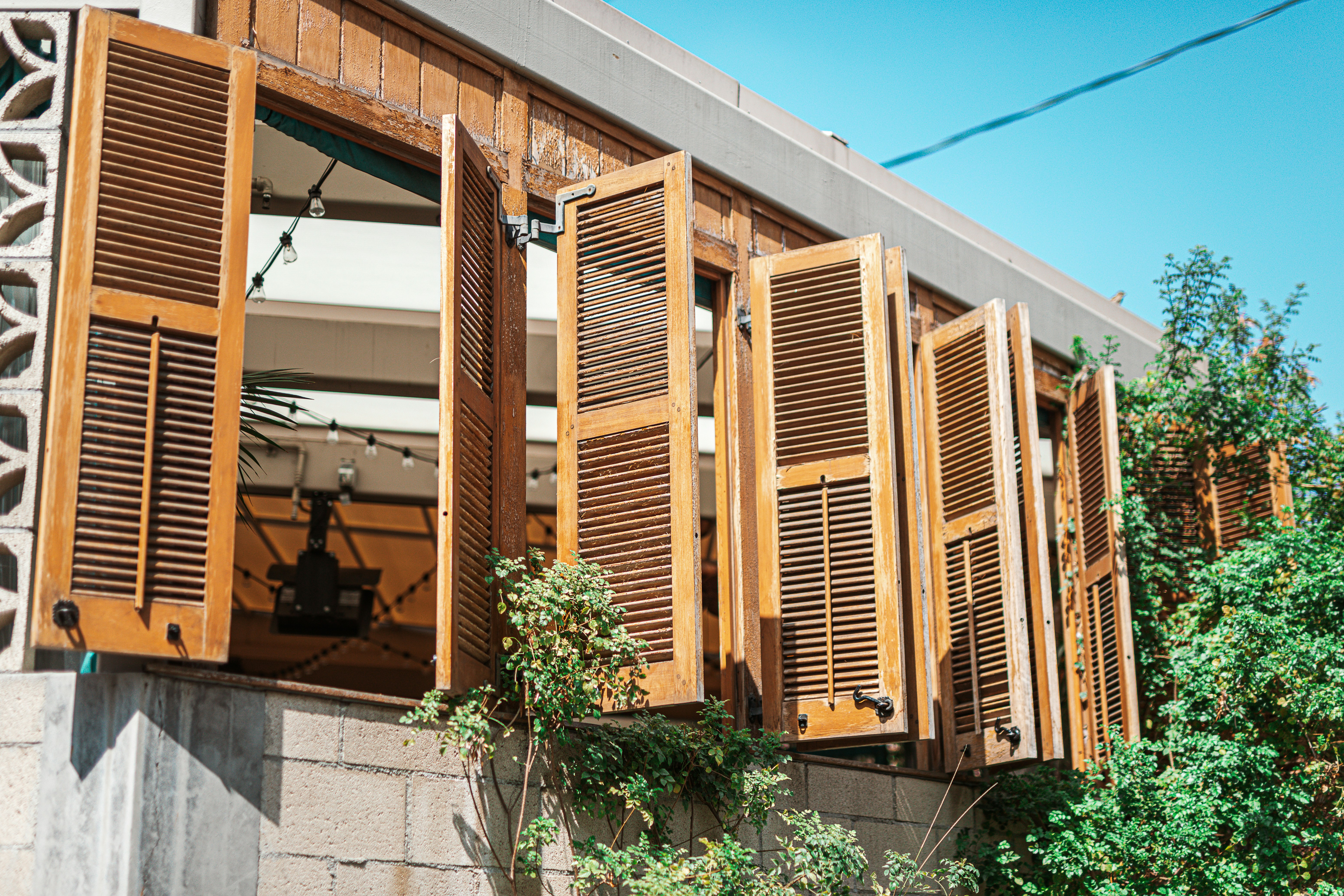 Photo by donovan_valdivia