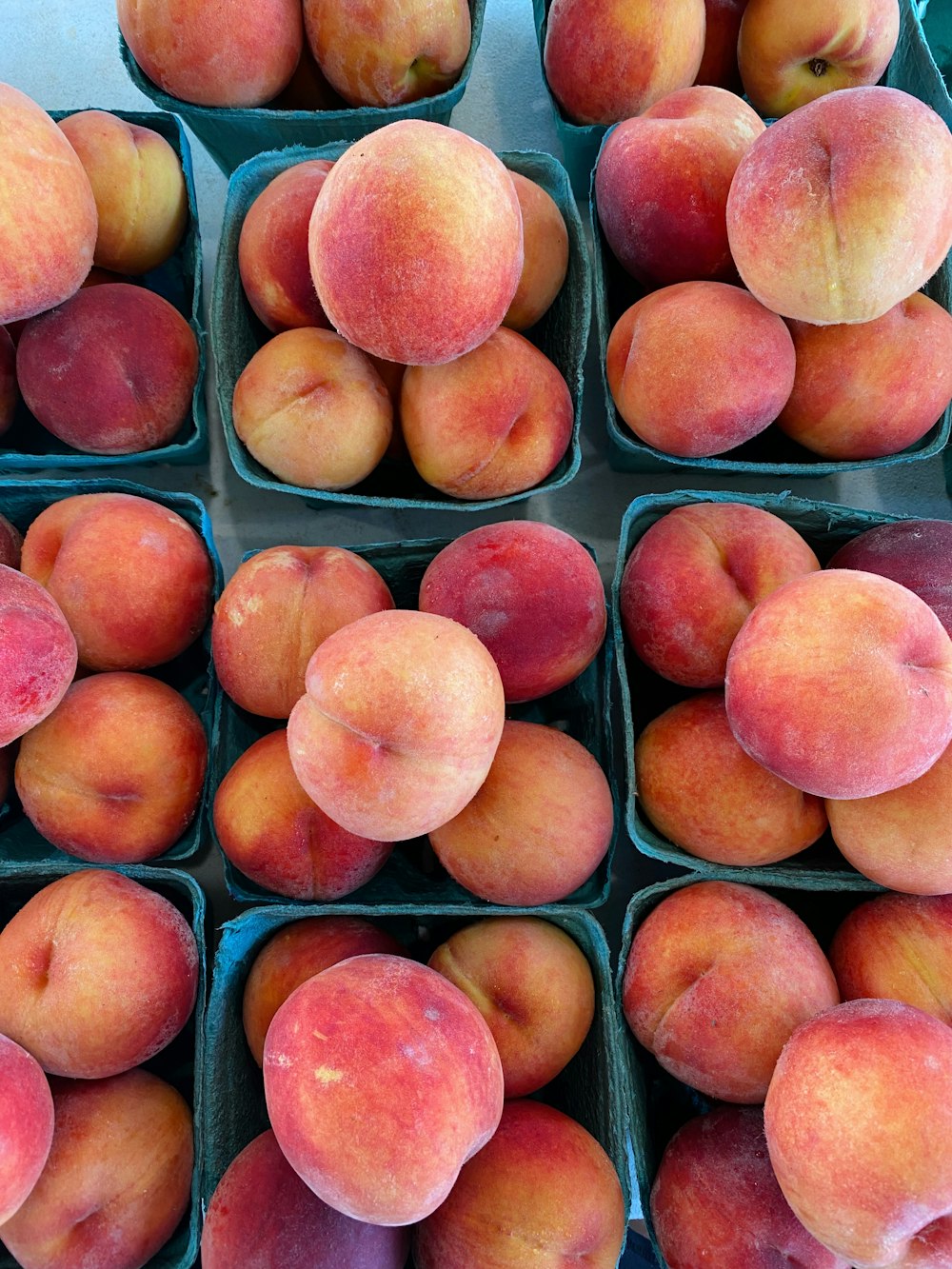 a group of peaches