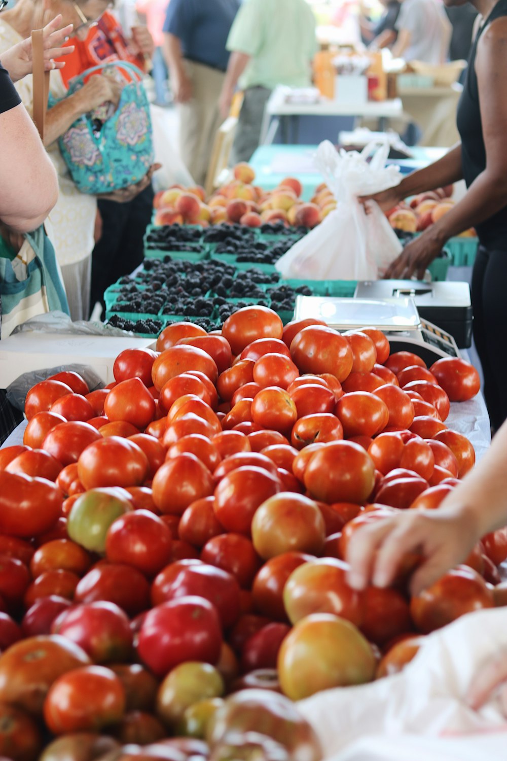 a person holding a bag of tomatoes