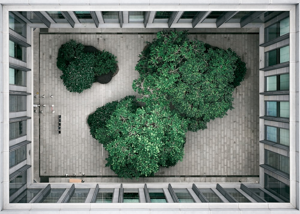 a building with a tree in the front