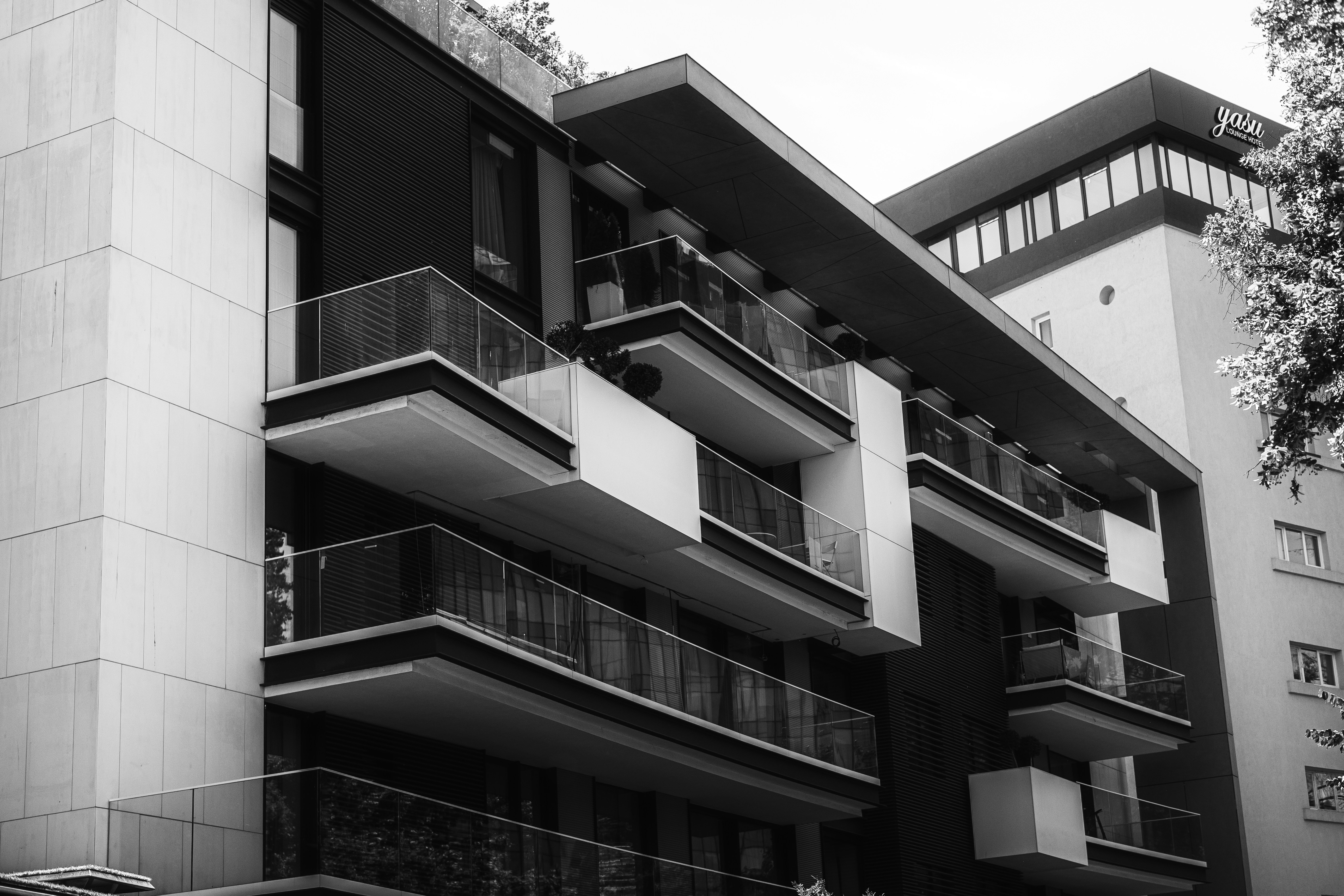 Photo by traiantitilincu