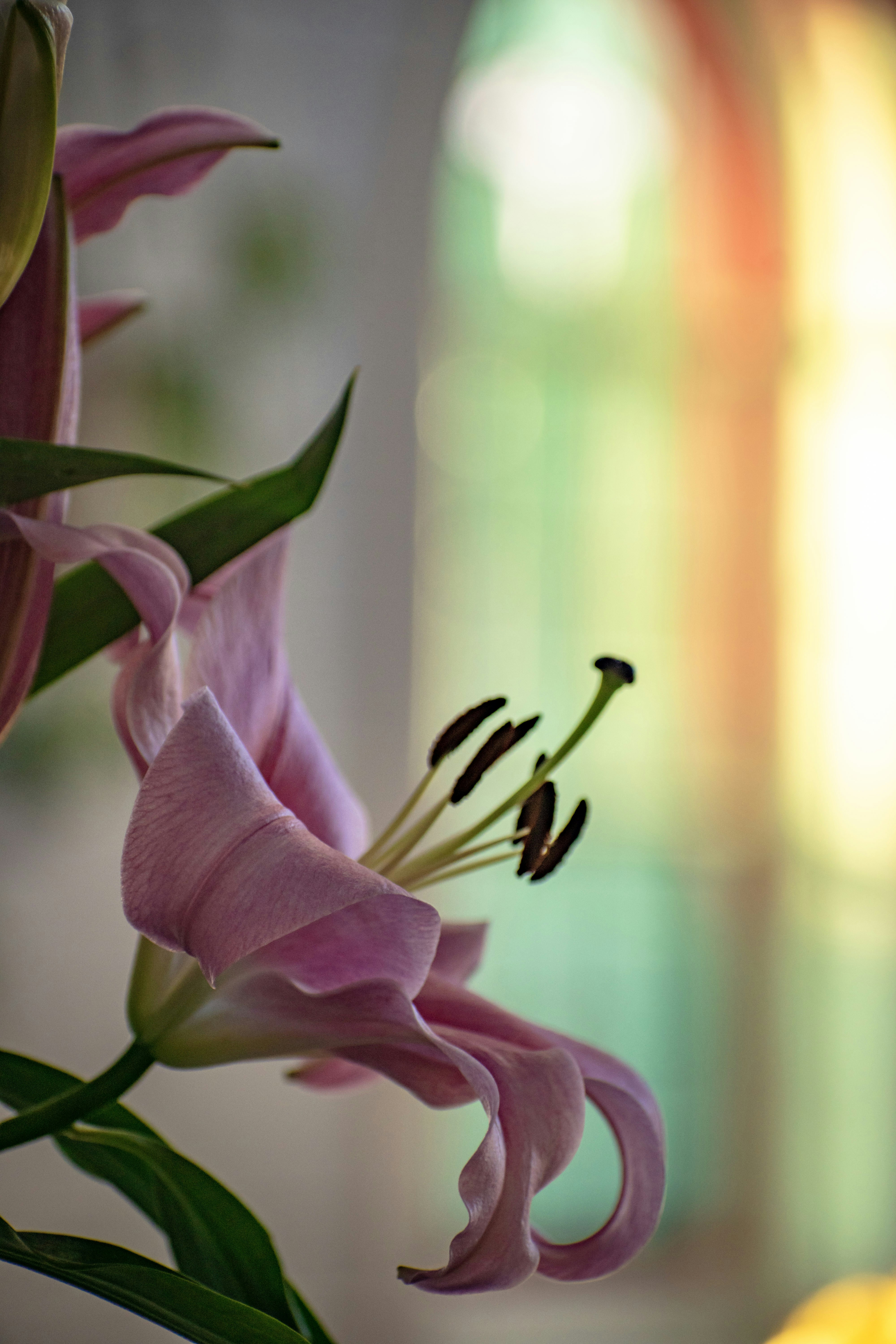 Photo by miekelauren