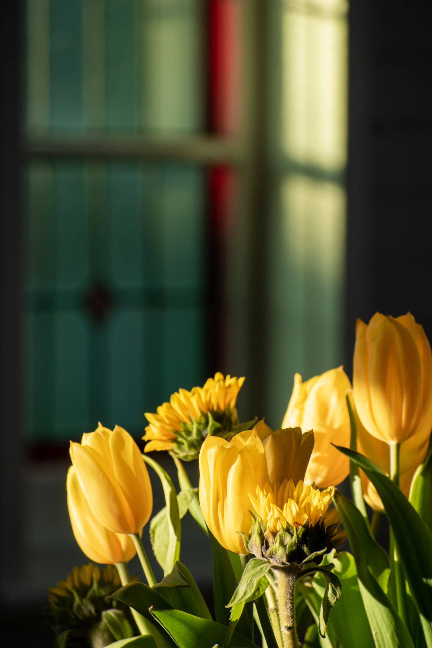 Red and yellow tulips in a vase showing the natural spread and direction of their stems