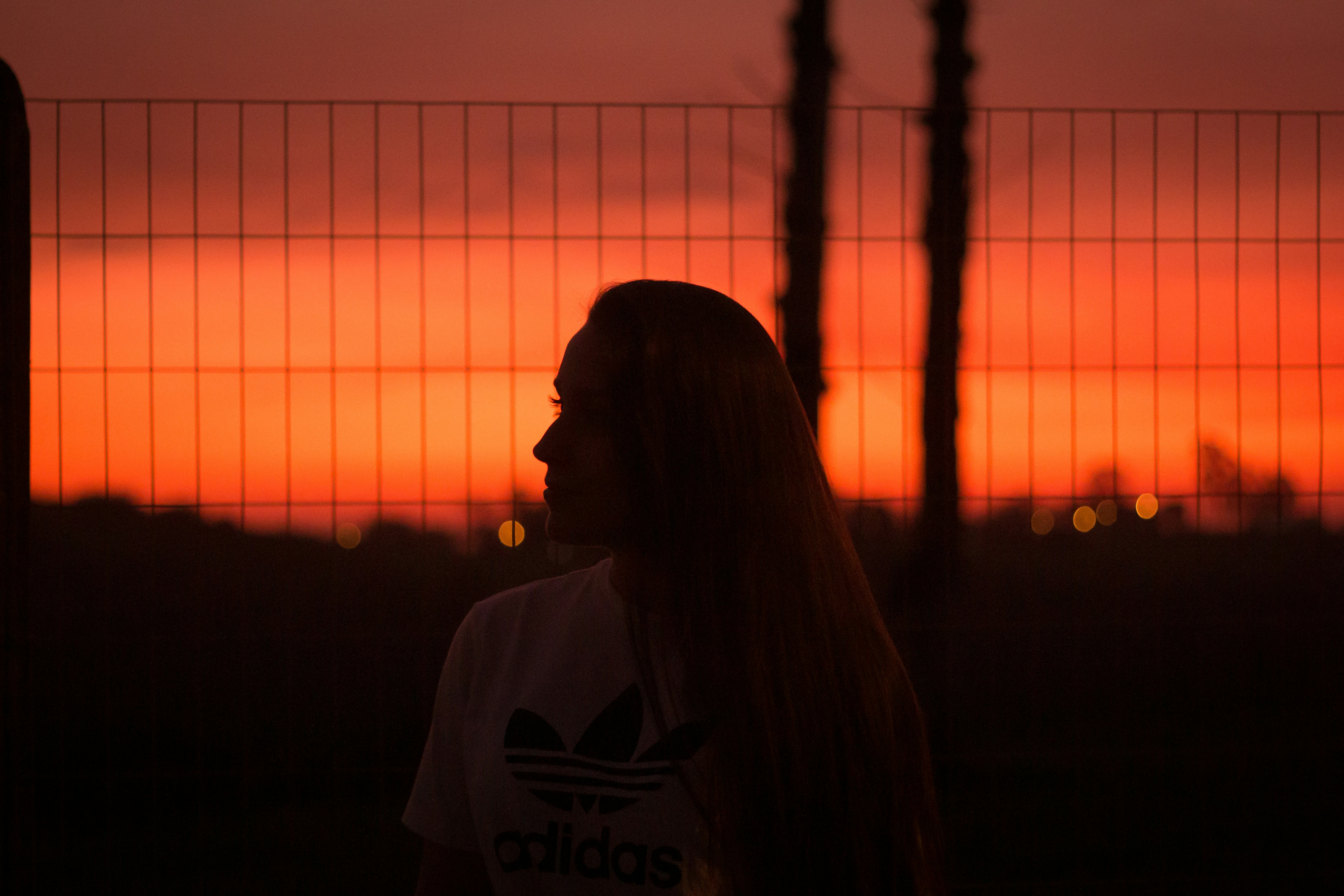 Choose from a curated selection of sunset photos. Always free on Unsplash.