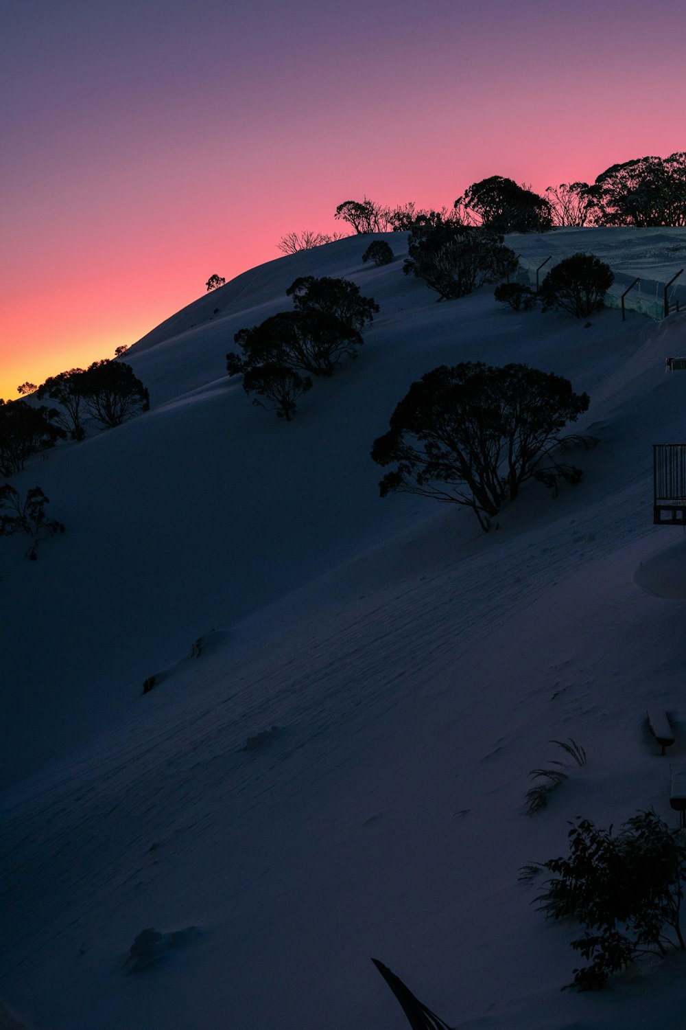 a snowy field with trees and a sunset