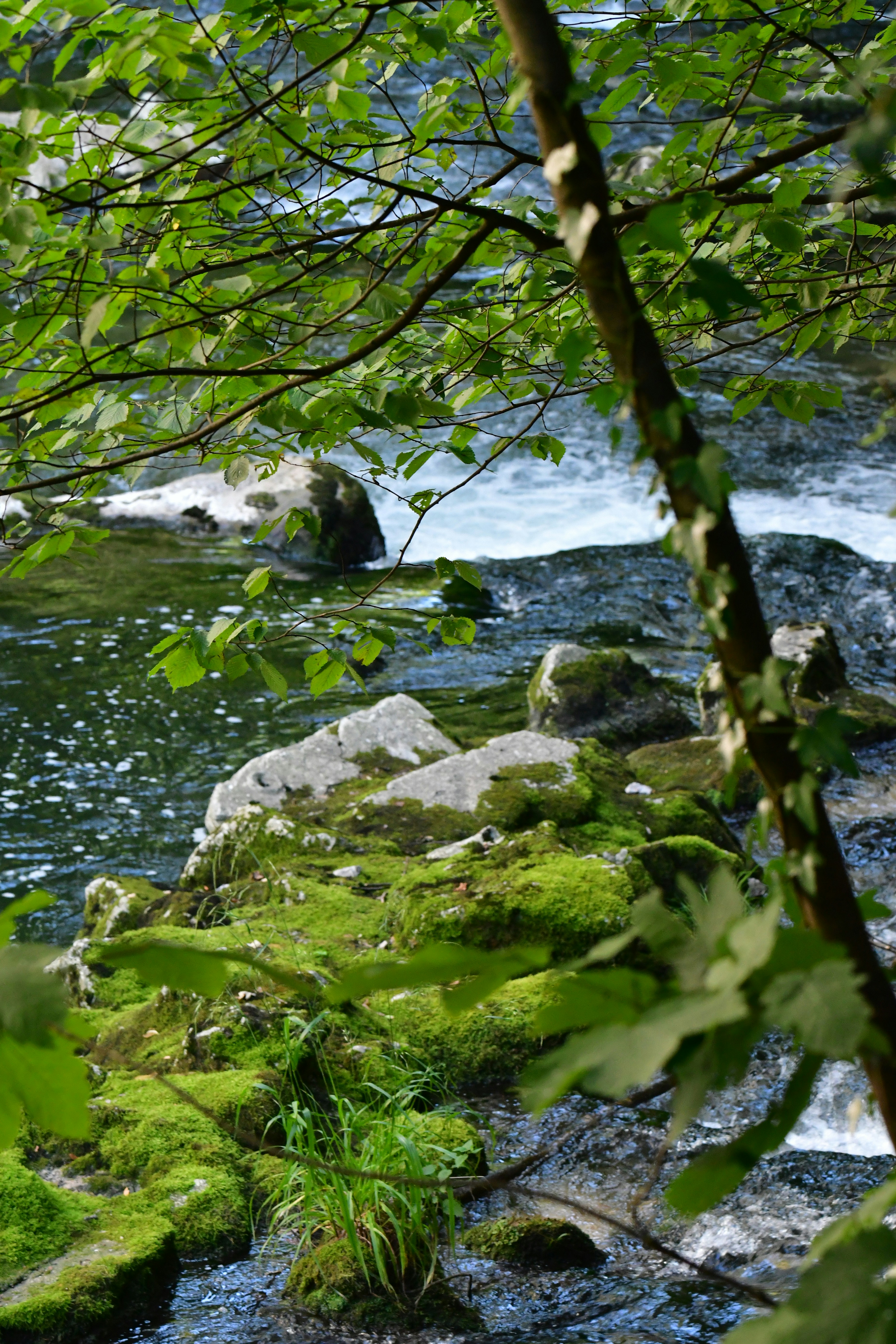 Photo by pedrino5_official