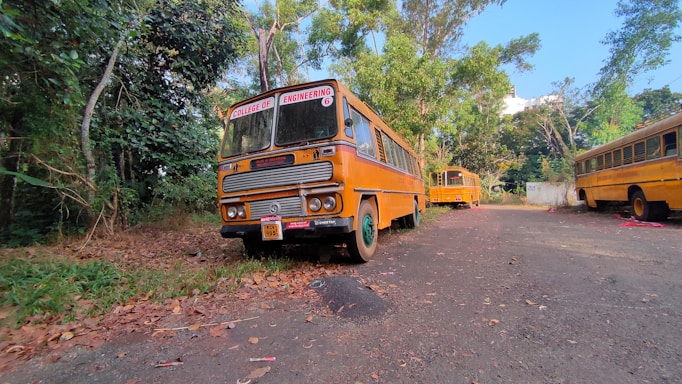 A yellow school bus is parked on a leaf-strewn road surrounded by dense greenery. The sign on the bus indicates it is a college engineering bus. There are more buses visible in the background, lined up along the road. The setting appears to be a peaceful, rural area with trees arching over and casting shadows on the road.