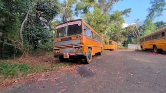 A yellow school bus is parked on a leaf-strewn road surrounded by dense greenery. The sign on the bus indicates it is a college engineering bus. There are more buses visible in the background, lined up along the road. The setting appears to be a peaceful, rural area with trees arching over and casting shadows on the road.