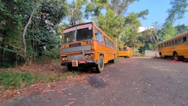 A yellow school bus is parked on a leaf-strewn road surrounded by dense greenery. The sign on the bus indicates it is a college engineering bus. There are more buses visible in the background, lined up along the road. The setting appears to be a peaceful, rural area with trees arching over and casting shadows on the road.