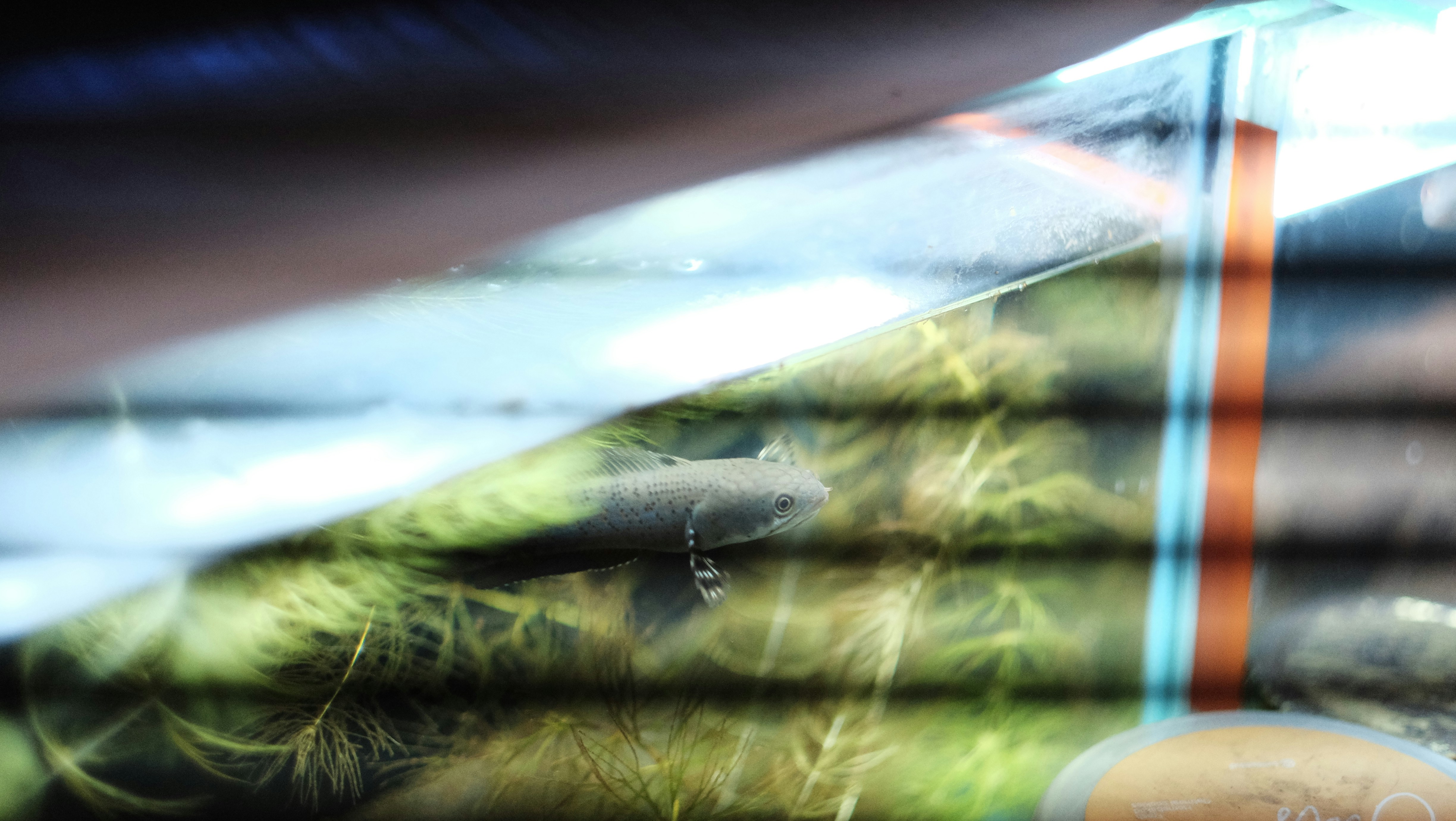 Photo by davidkristianto