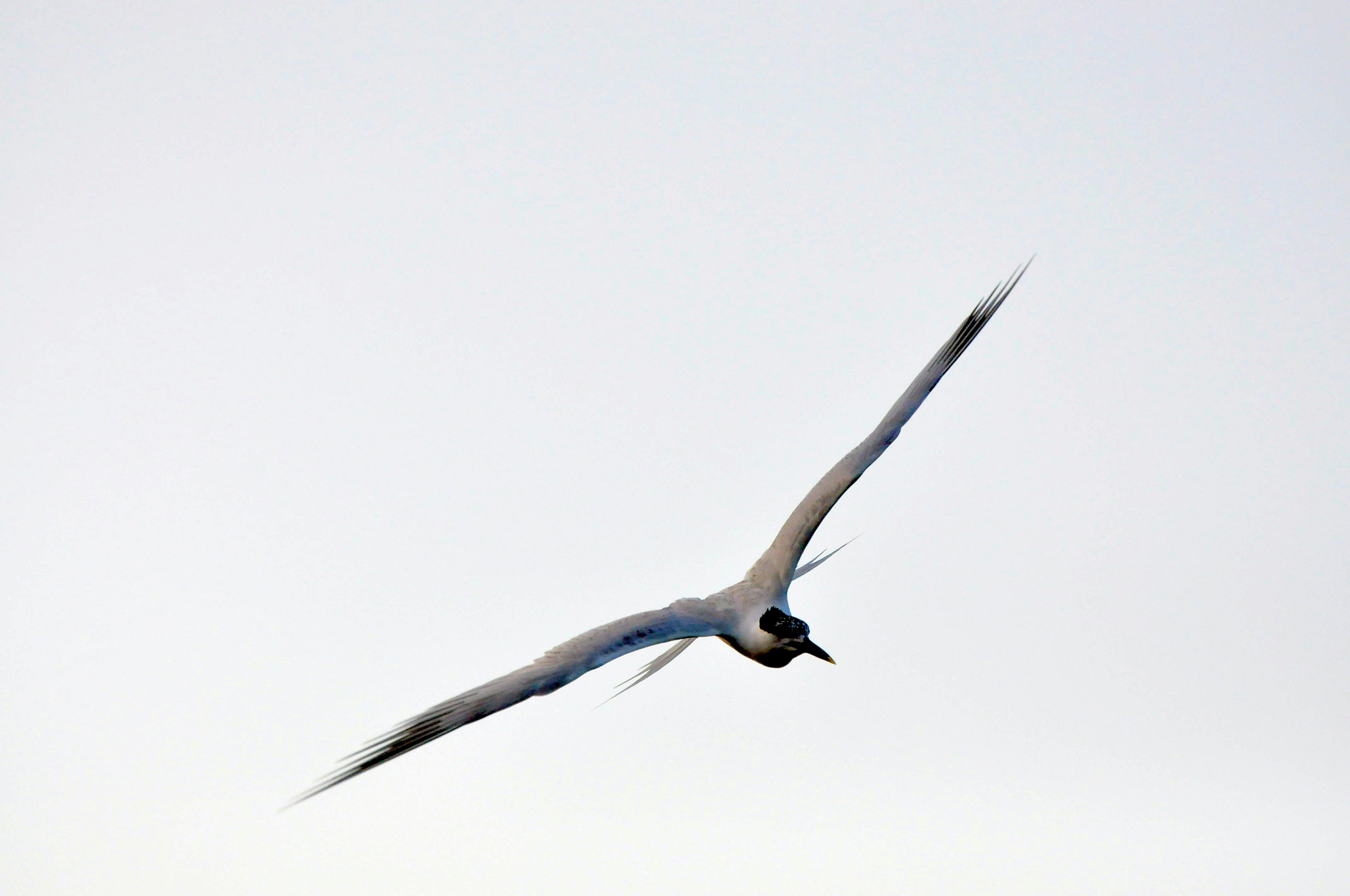 Photo by climatechangevi