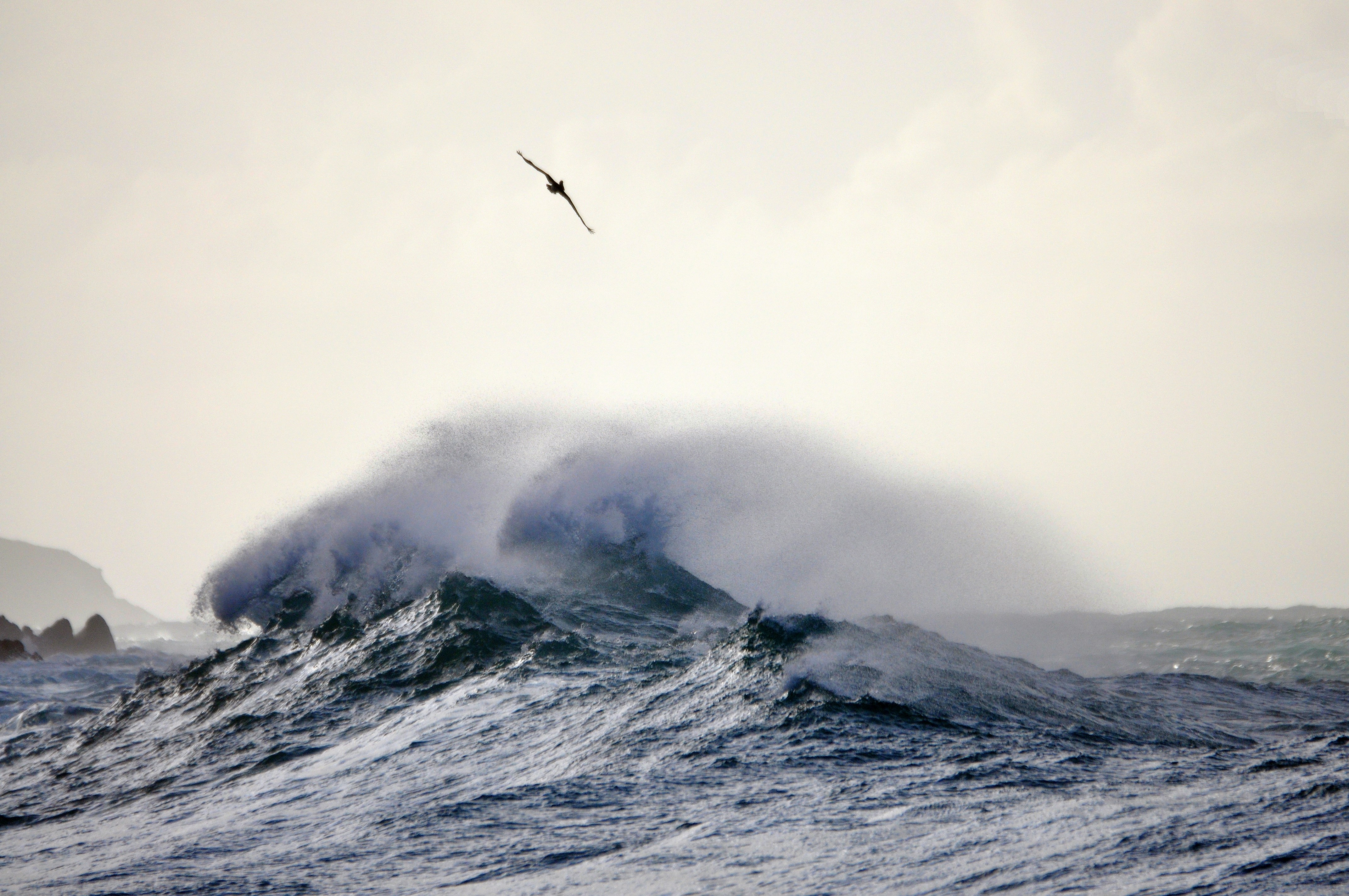 Choose from a curated selection of ocean wallpapers for your mobile and desktop screens. Always free on Unsplash.