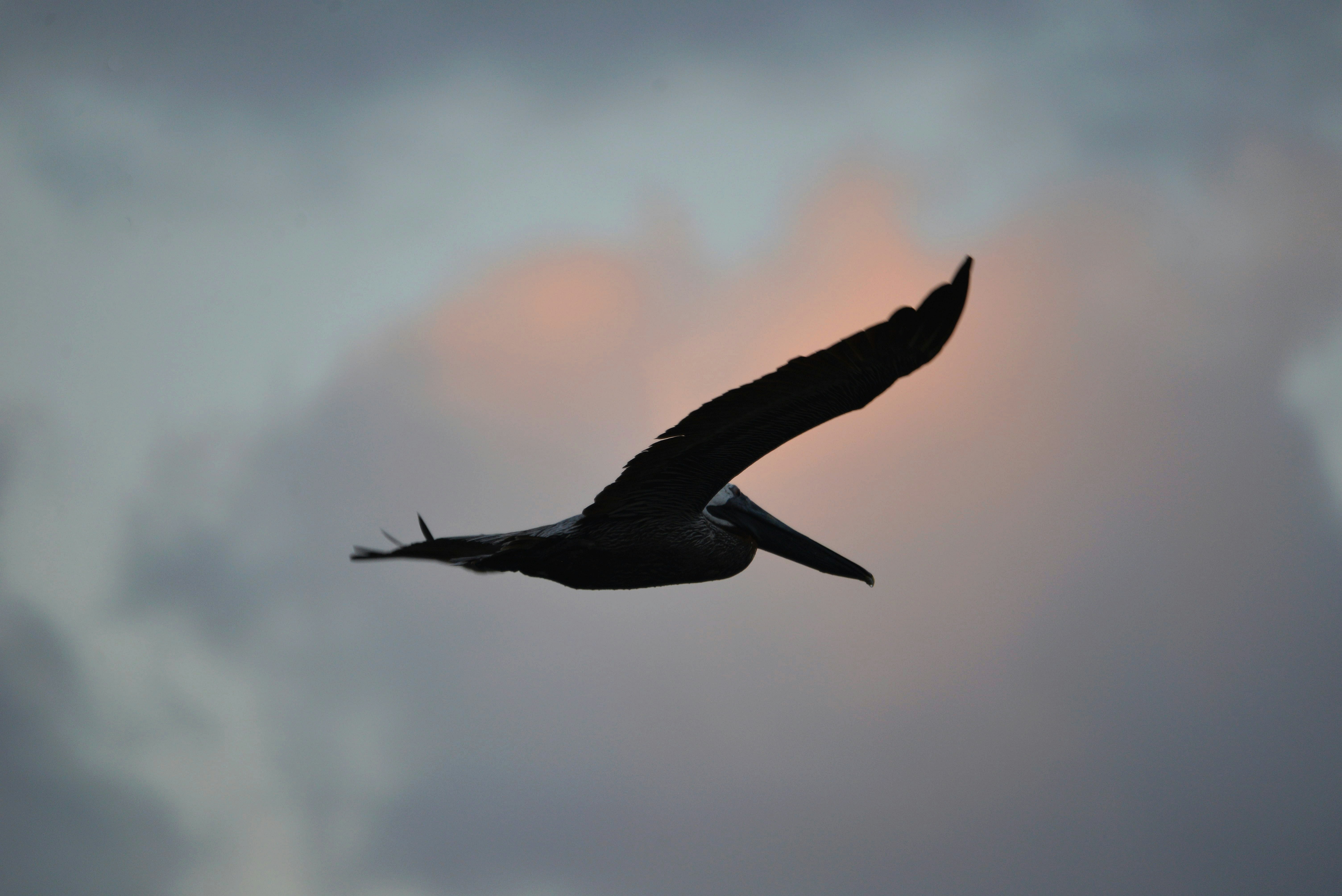 Photo by climatechangevi